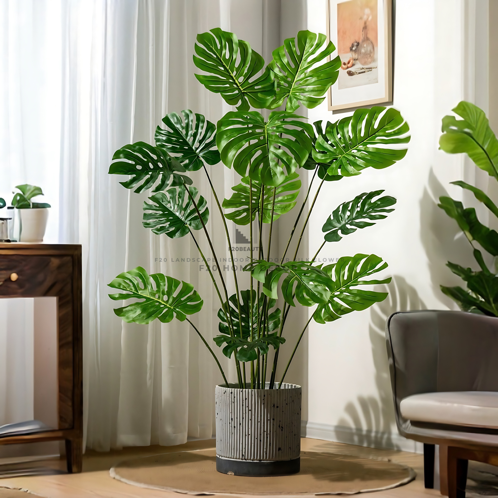 Cây trầu bà lá xẻ giả cao 160cm trồng trong chậu xi măng