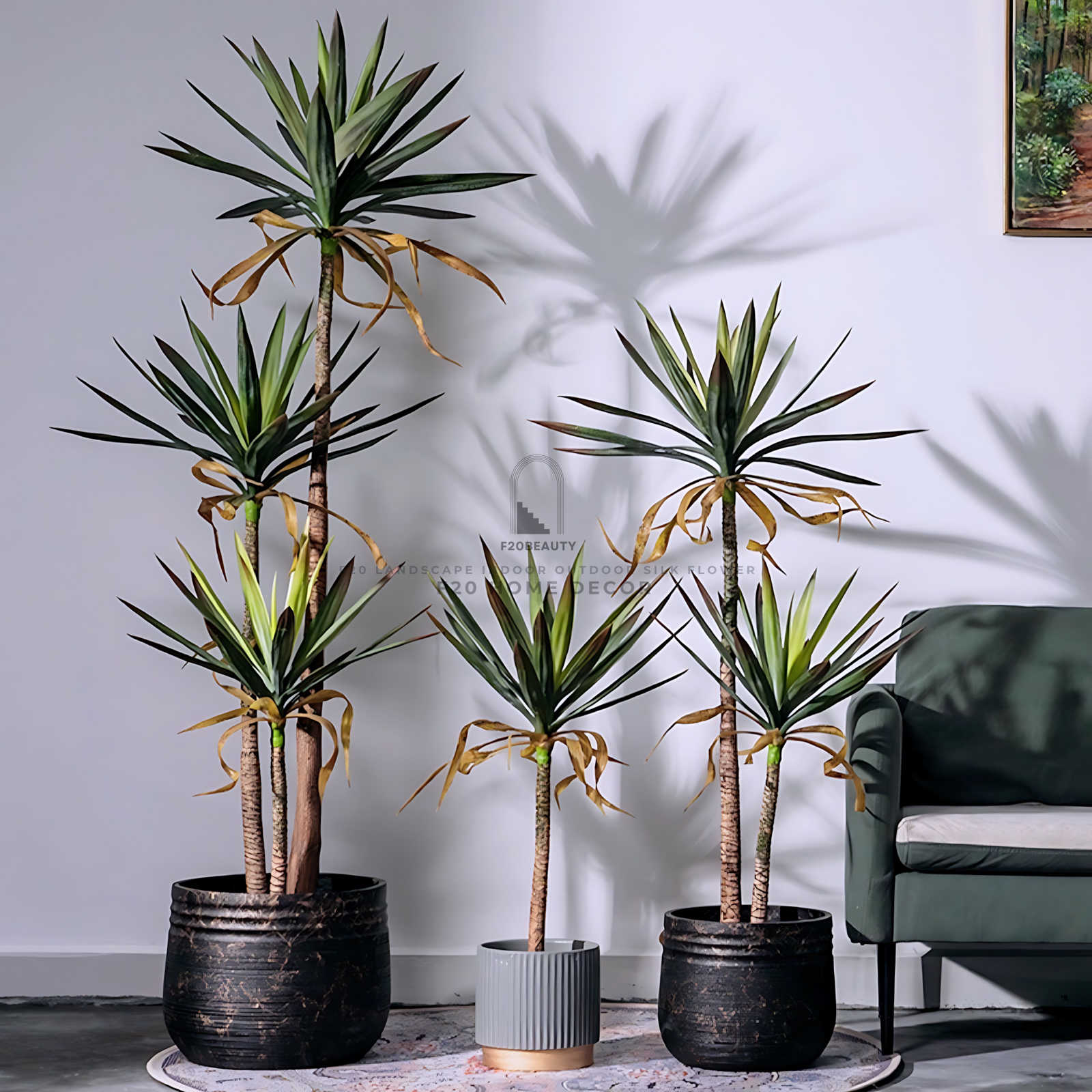 Hình ảnh cây phát tài cổ điển giả cao 160 cm 3 thân, 120 cm 2 thân và 75 cm 1 thân
