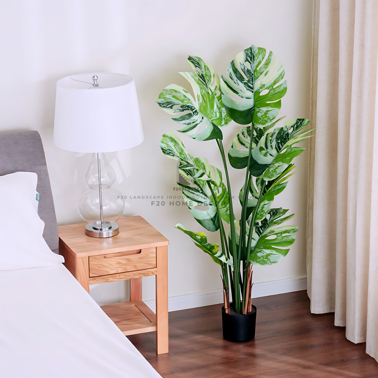 Cây Monstera đột biến giả - Phong cách nhiệt đới Tropical