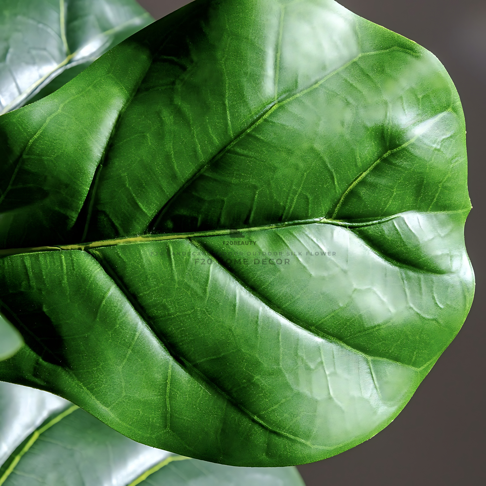 Hình ảnh chi tiết lá cây bàng Singapore giả