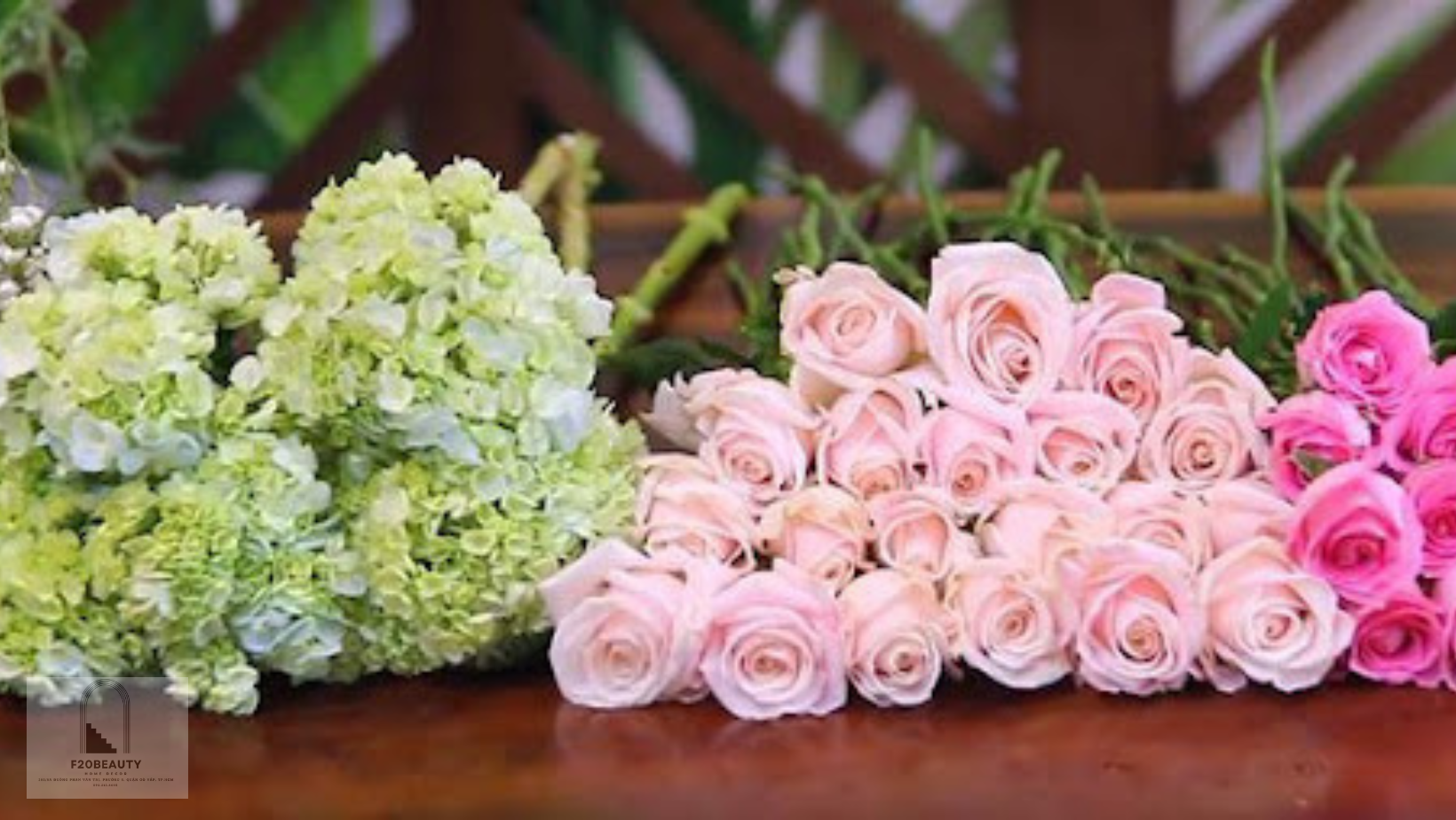 Chuẩn bị hoa hồng