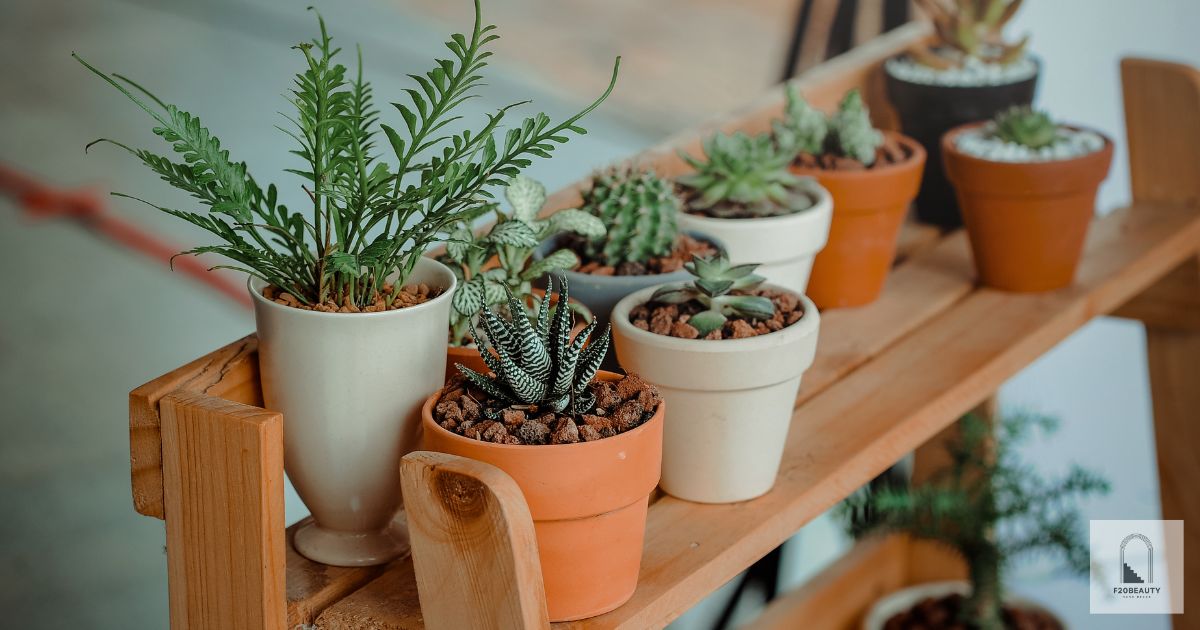 không gian xanh mát