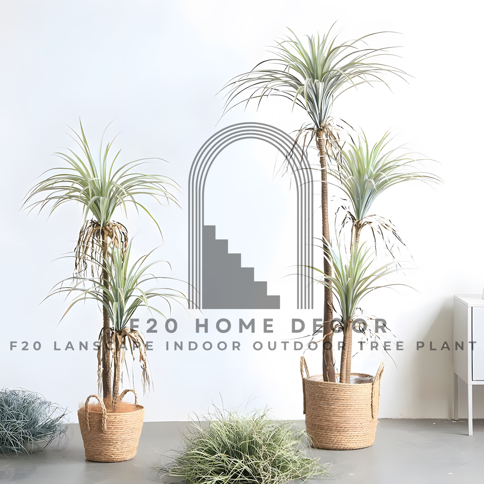 Cây cọ nhiệt đới giả