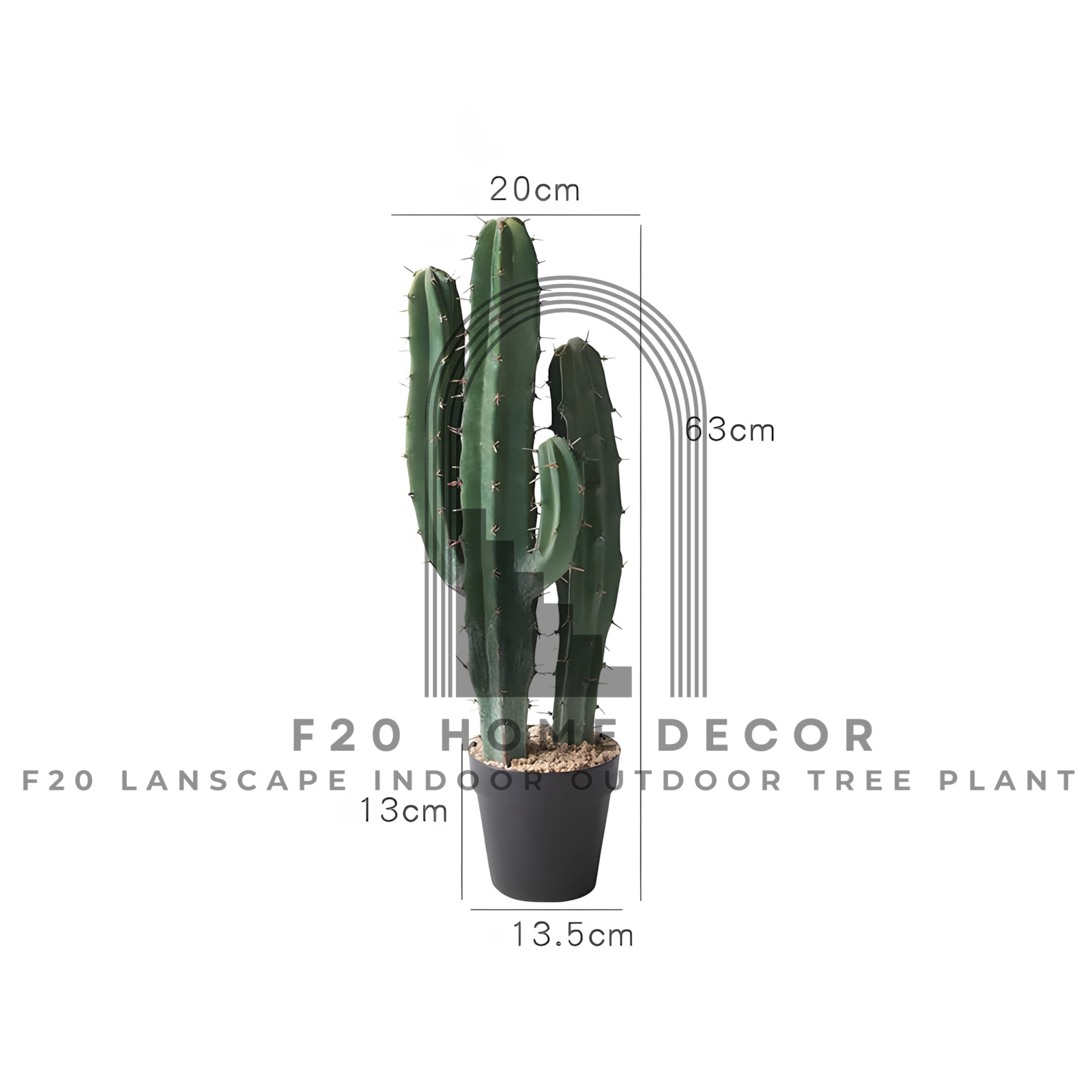 Cây xương rồng ba khía 2 thân giả cao 53cm