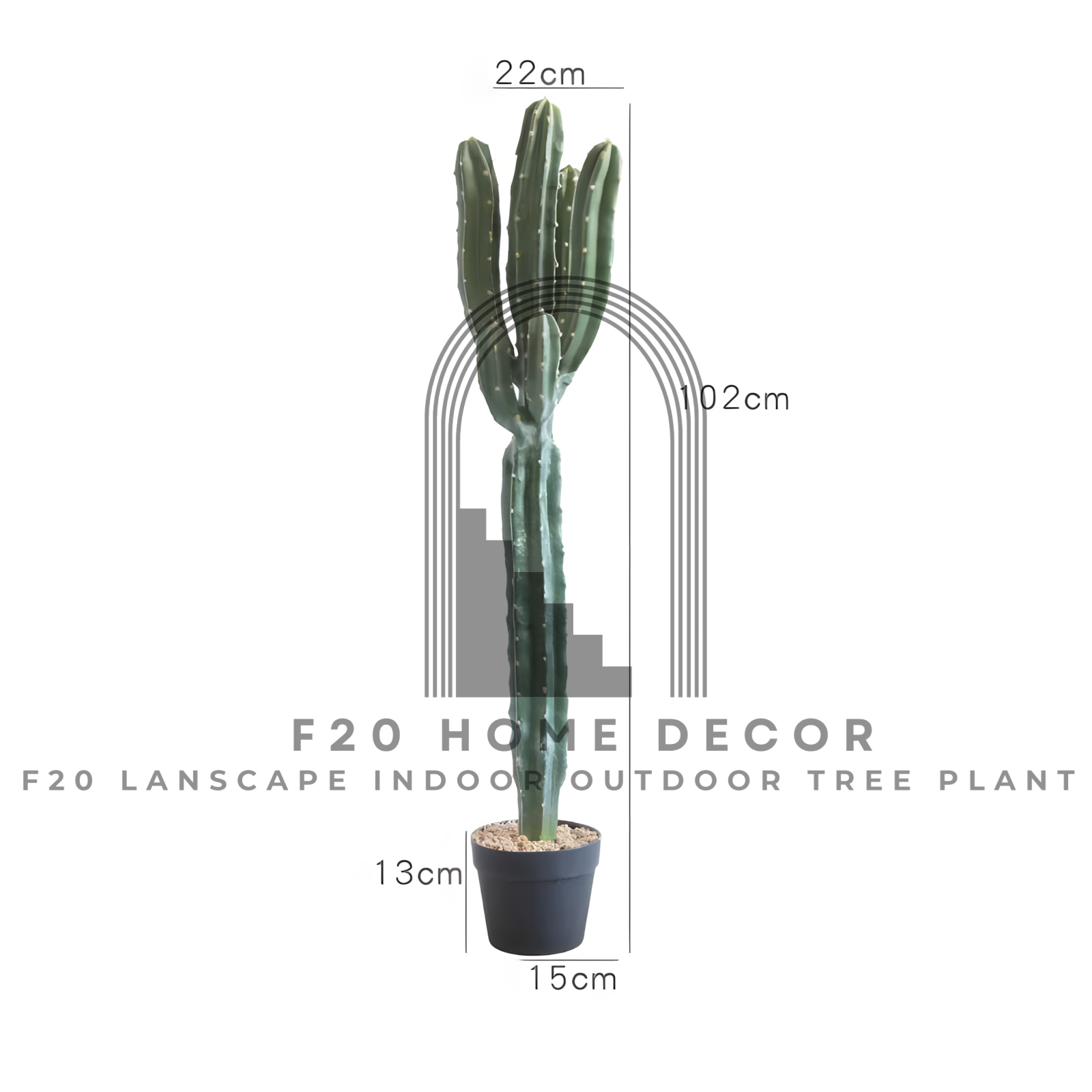 Hình ảnh chi tiết kích thước cây xương rồng ba khía giả cao 102cm