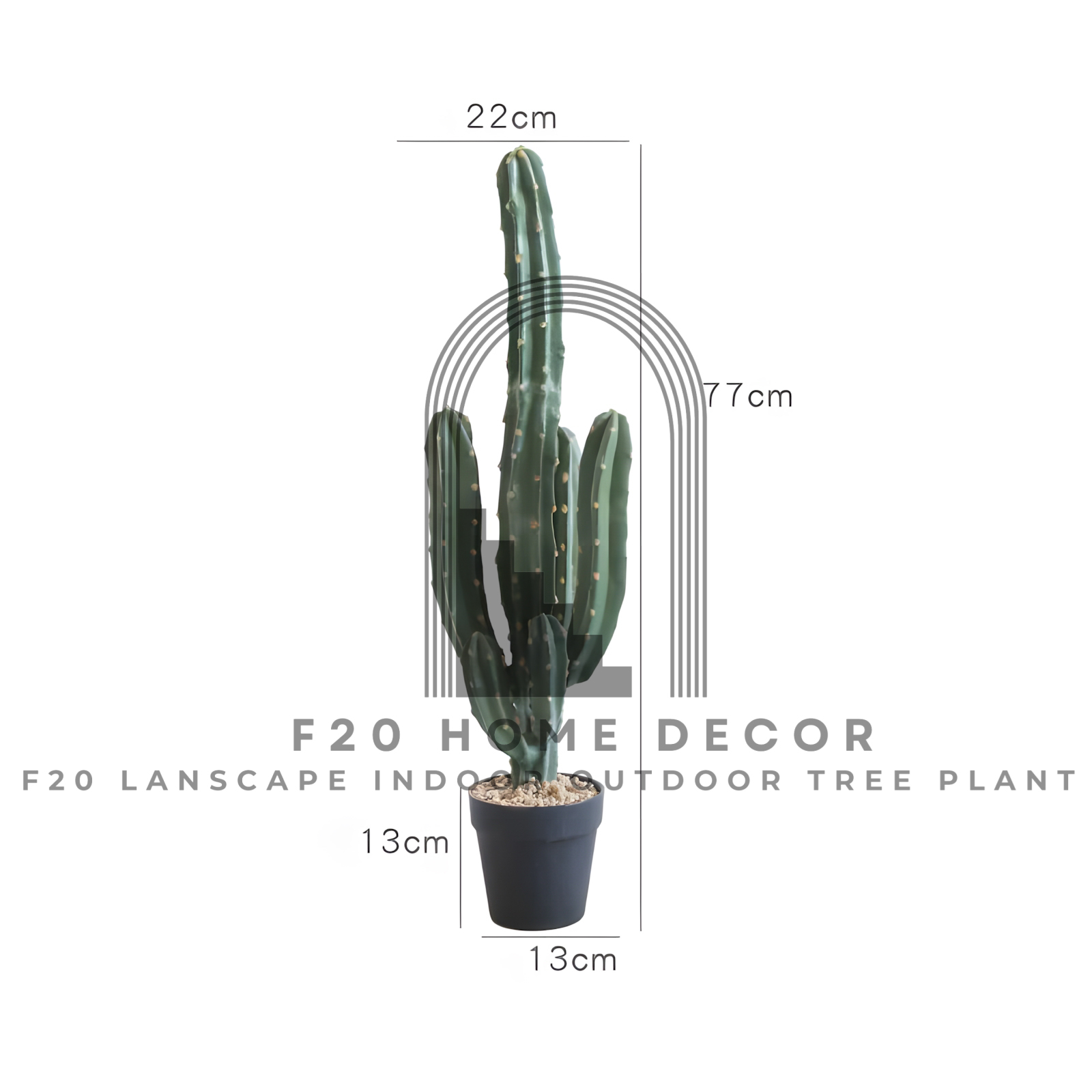 Hình ảnh chi tiết kích thước cây xương rồng ba khía giả cao 77cm