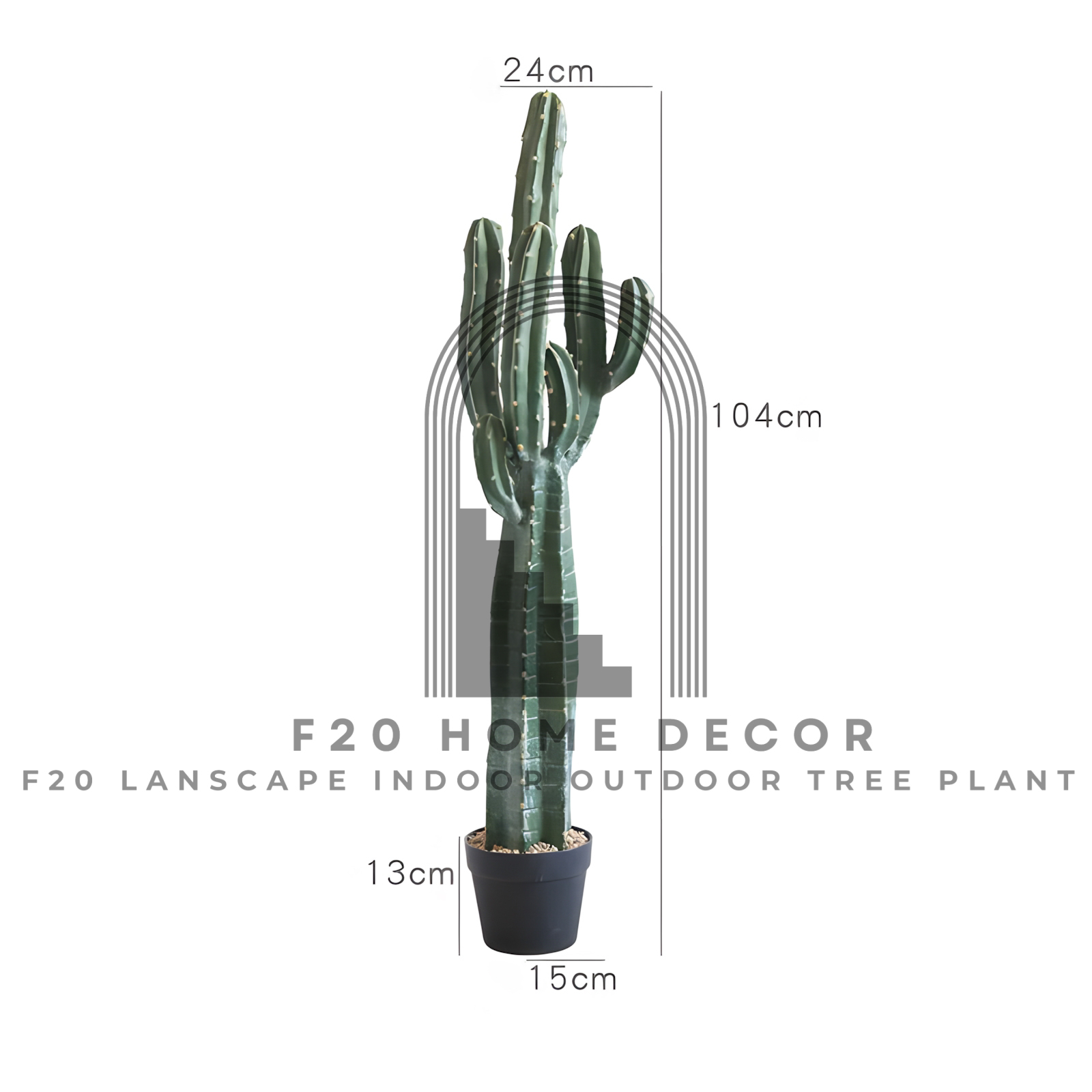 Hình ảnh chi tiết kích thước cây xương rồng ba khía giả cao 104cm