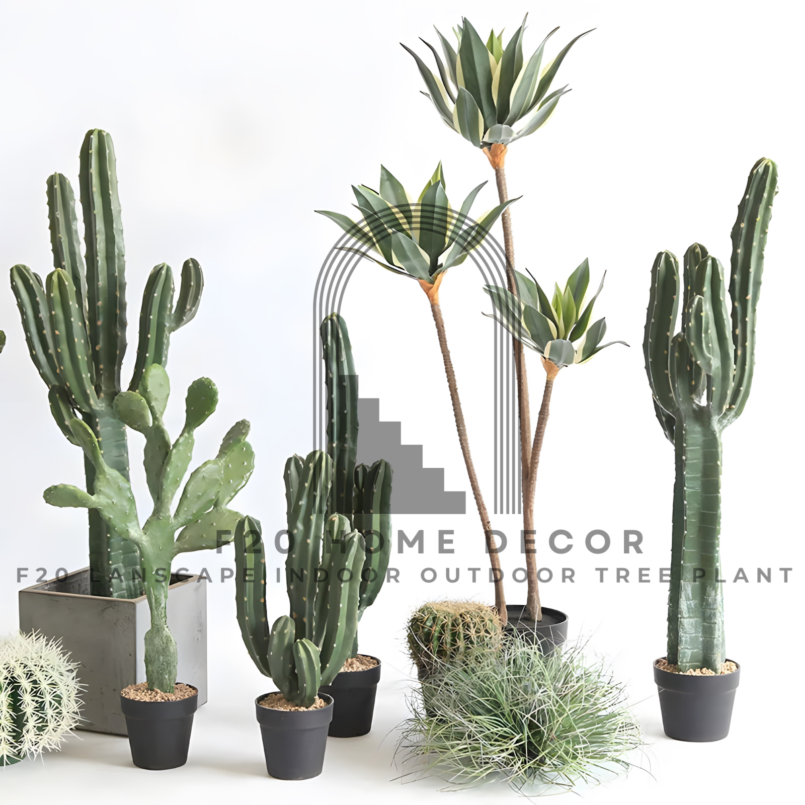 Hình ảnh chi tiết mẫu cây xương rồng ba khía giả trang trí không gian