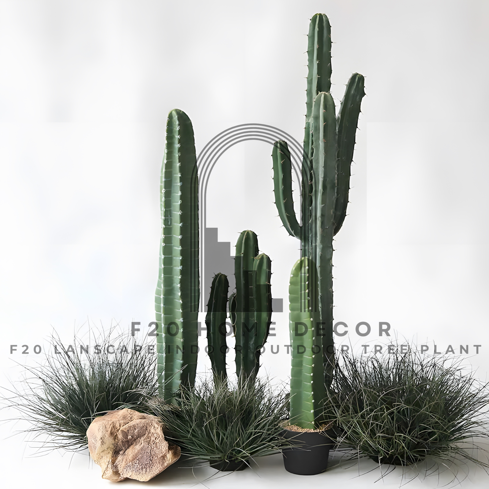 Sự kết hợp hài hoà giữa các mẫu cây xương rồng ba khía giả