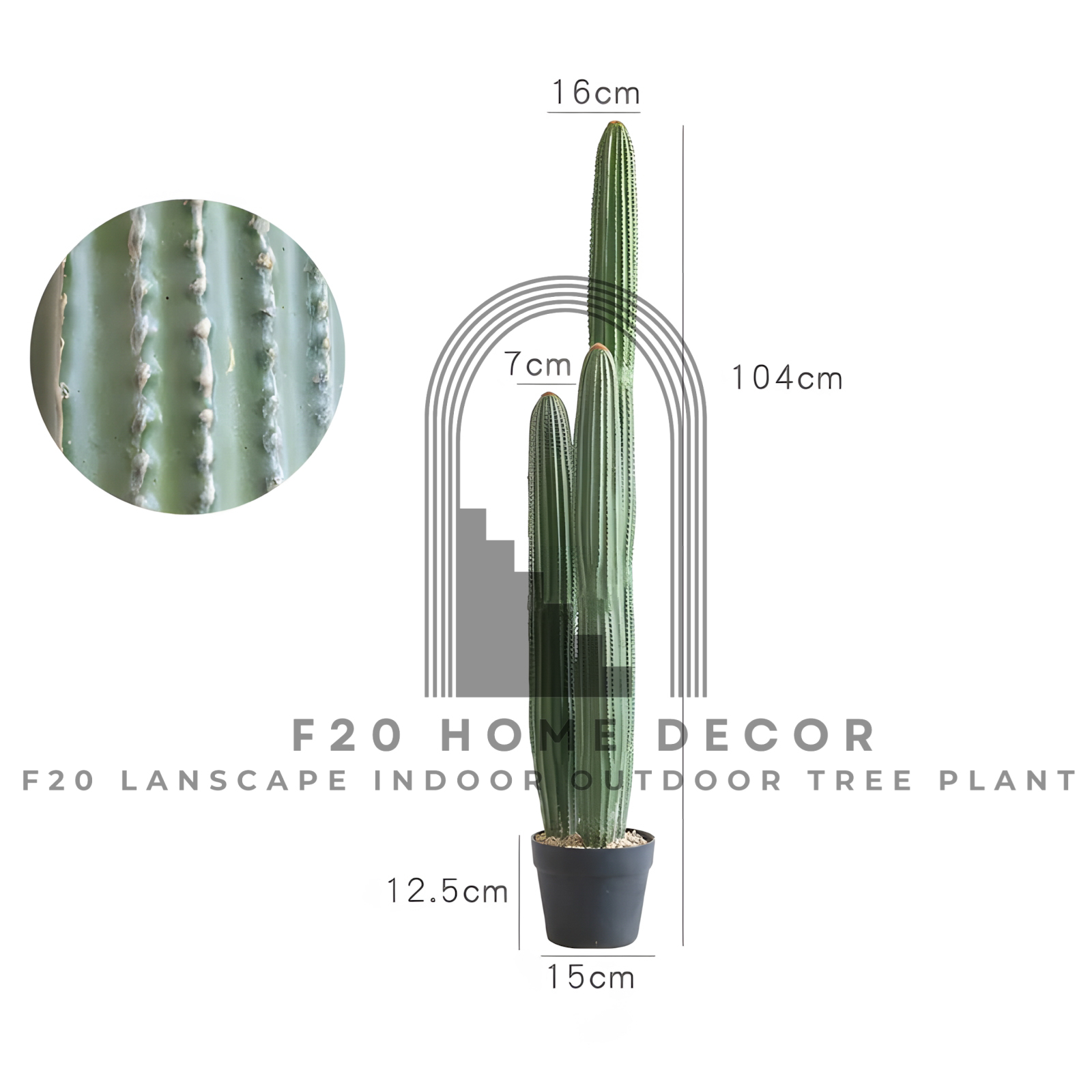 Cây xương rồng đuôi chuột giả cao 104cm