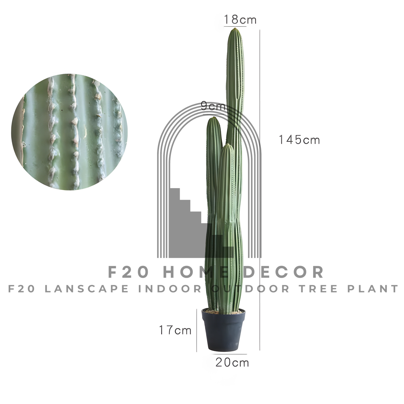 Cây xương rồng đuôi chuột giả cao 145cm