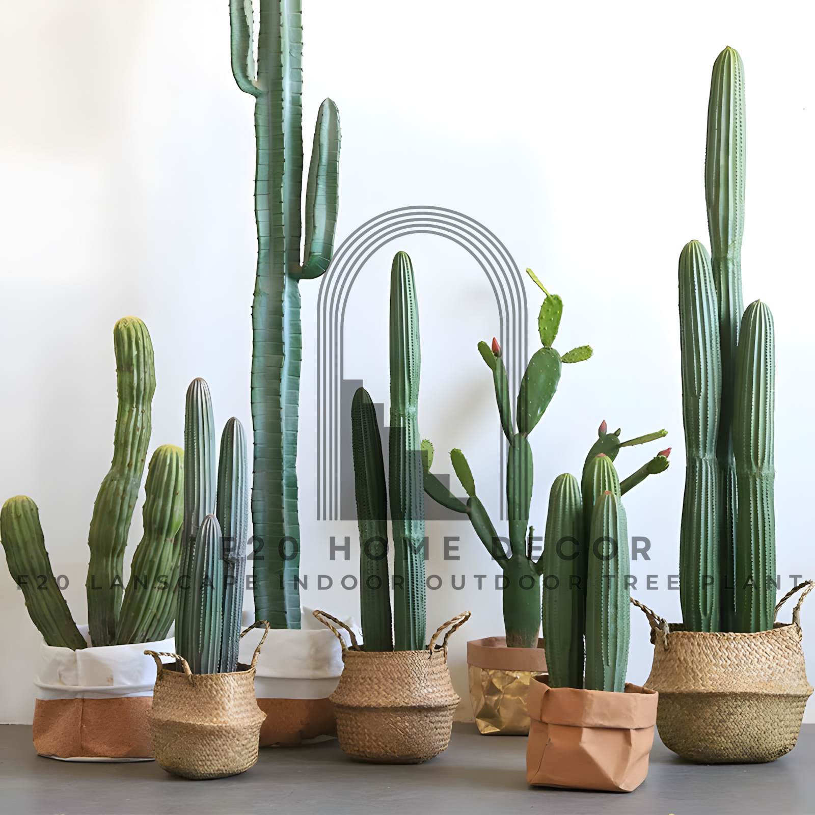 Cây xương rồng đuôi chuột giả