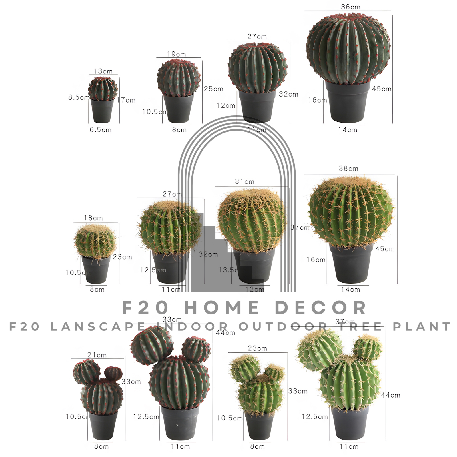 Hình ảnh chi tiết kích thước các loại cây xương rồng tròn giả
