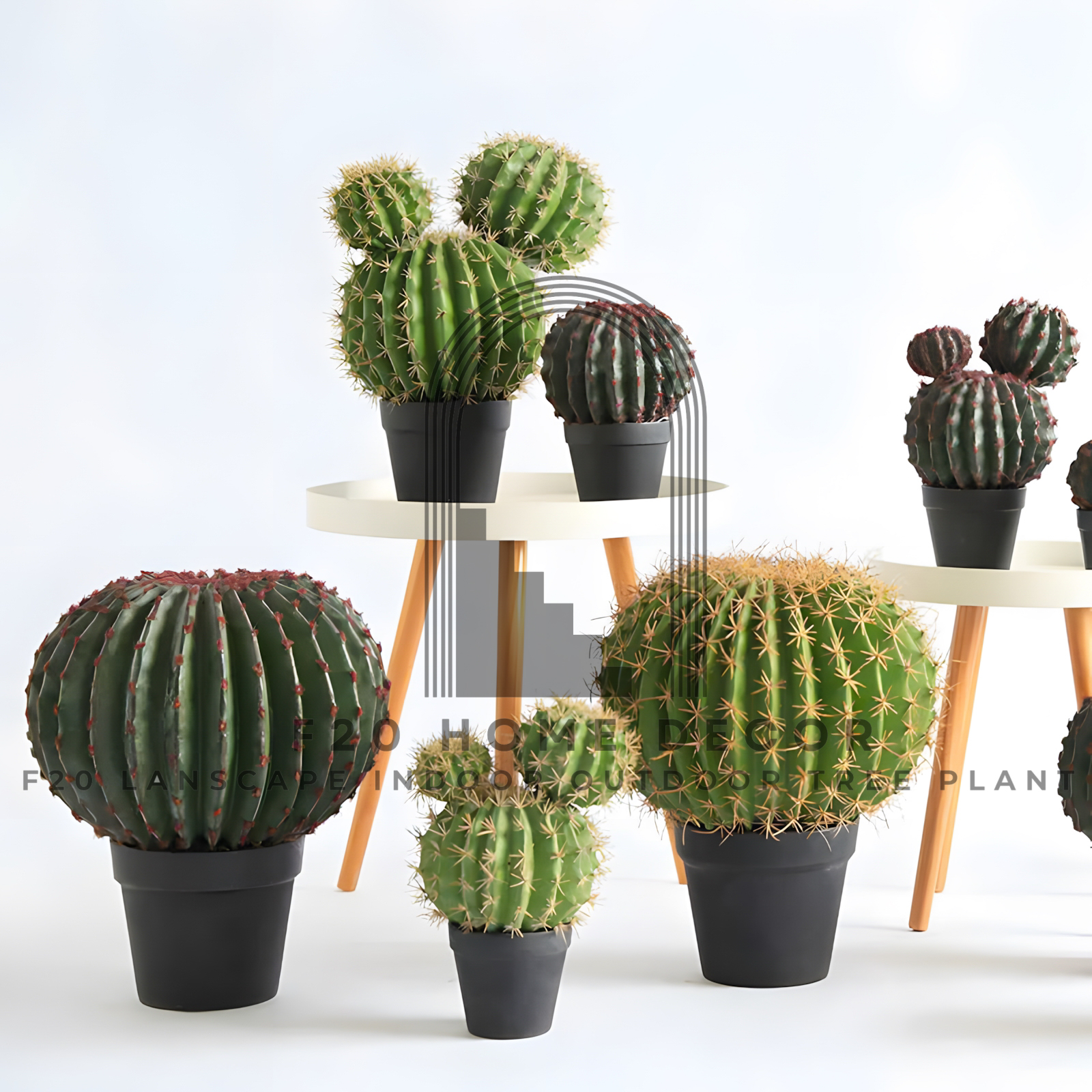 Hình ảnh chậu cây xương rồng tròn giả trong trang trí không gian nội thất hiện đại