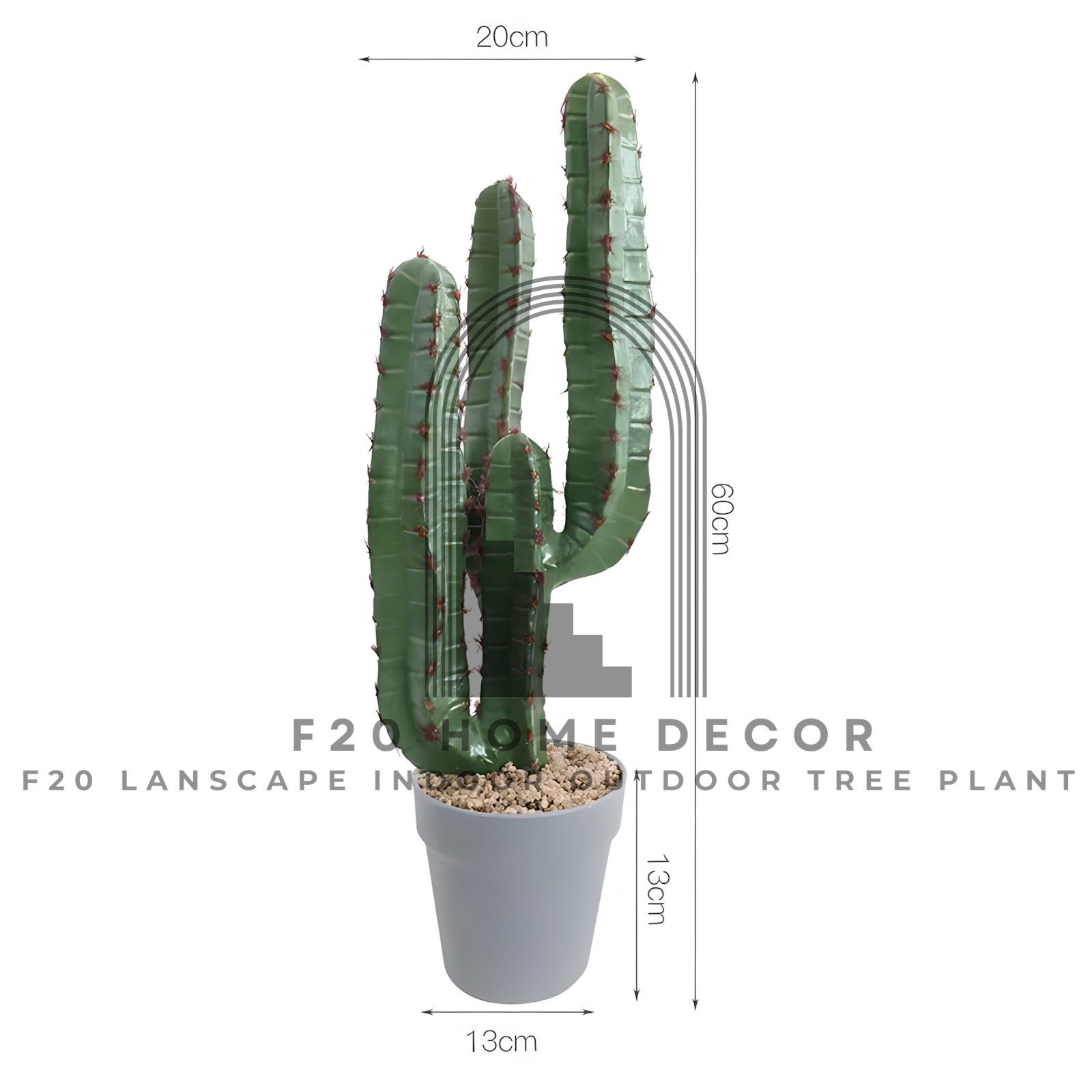 Hình ảnh chi tiết cây xương rồng Saguaro giả 4 tay có kích thước cao 60cm