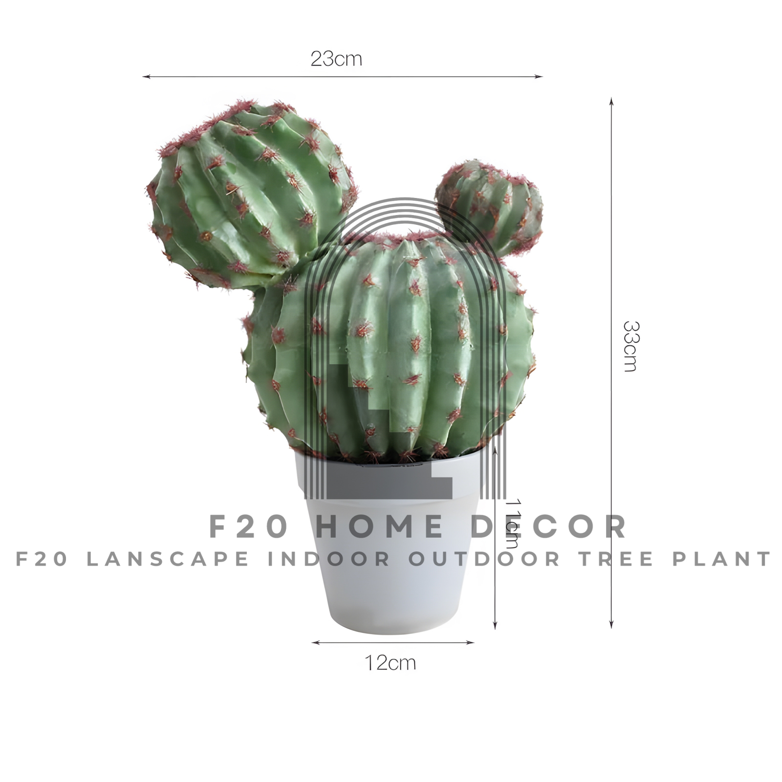 Hình ảnh chi tiết cây xương rồng tròn tai thỏ giả có kích thước C33cm x R23cm