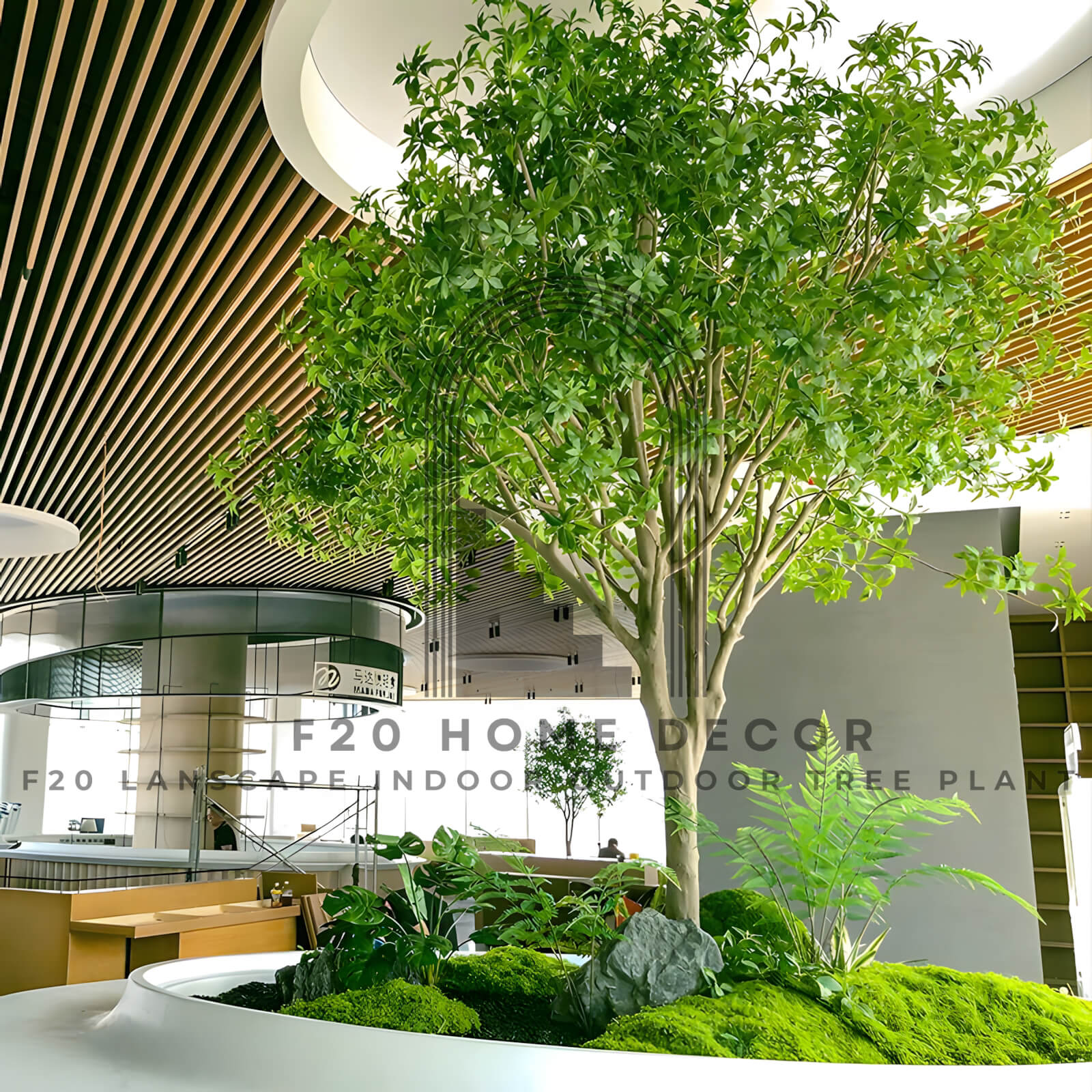 Cây Asabi giả cao cấp trang trí văn phòng