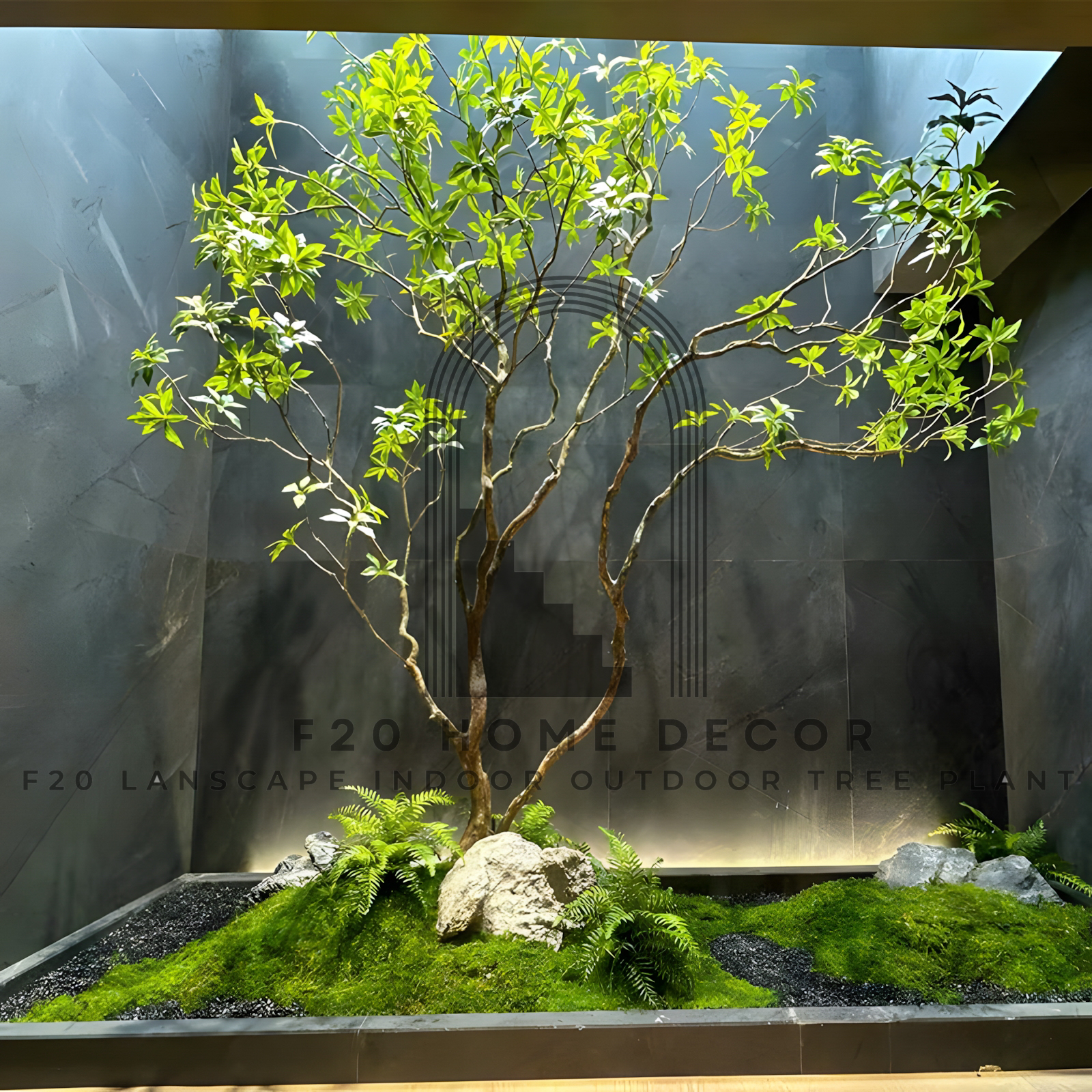 Cây Asabi giả thân gỗ tán rộng trang trí giếng trời