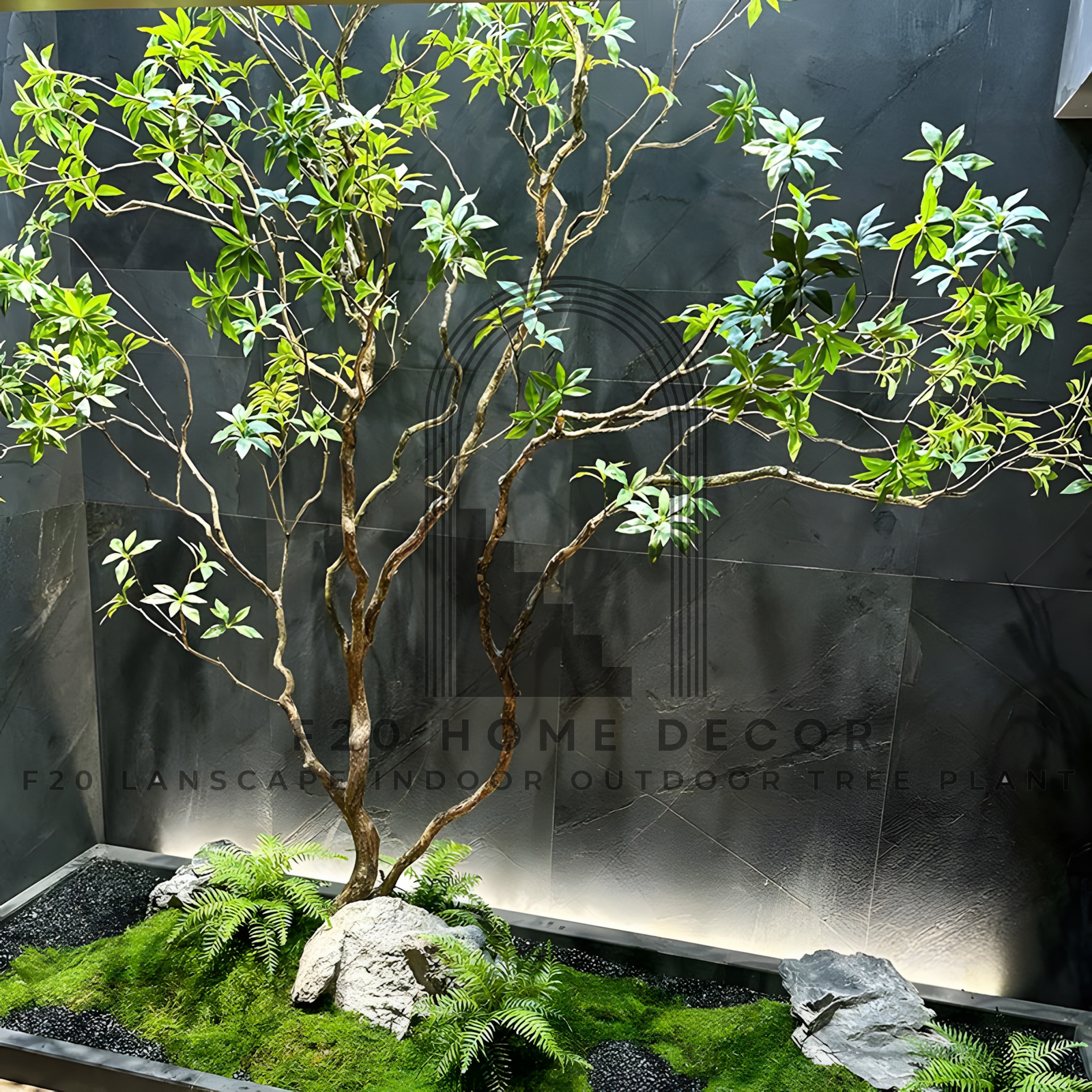 Cây Asabi Giả - Mang may mắn và tài lộc cho gia đình