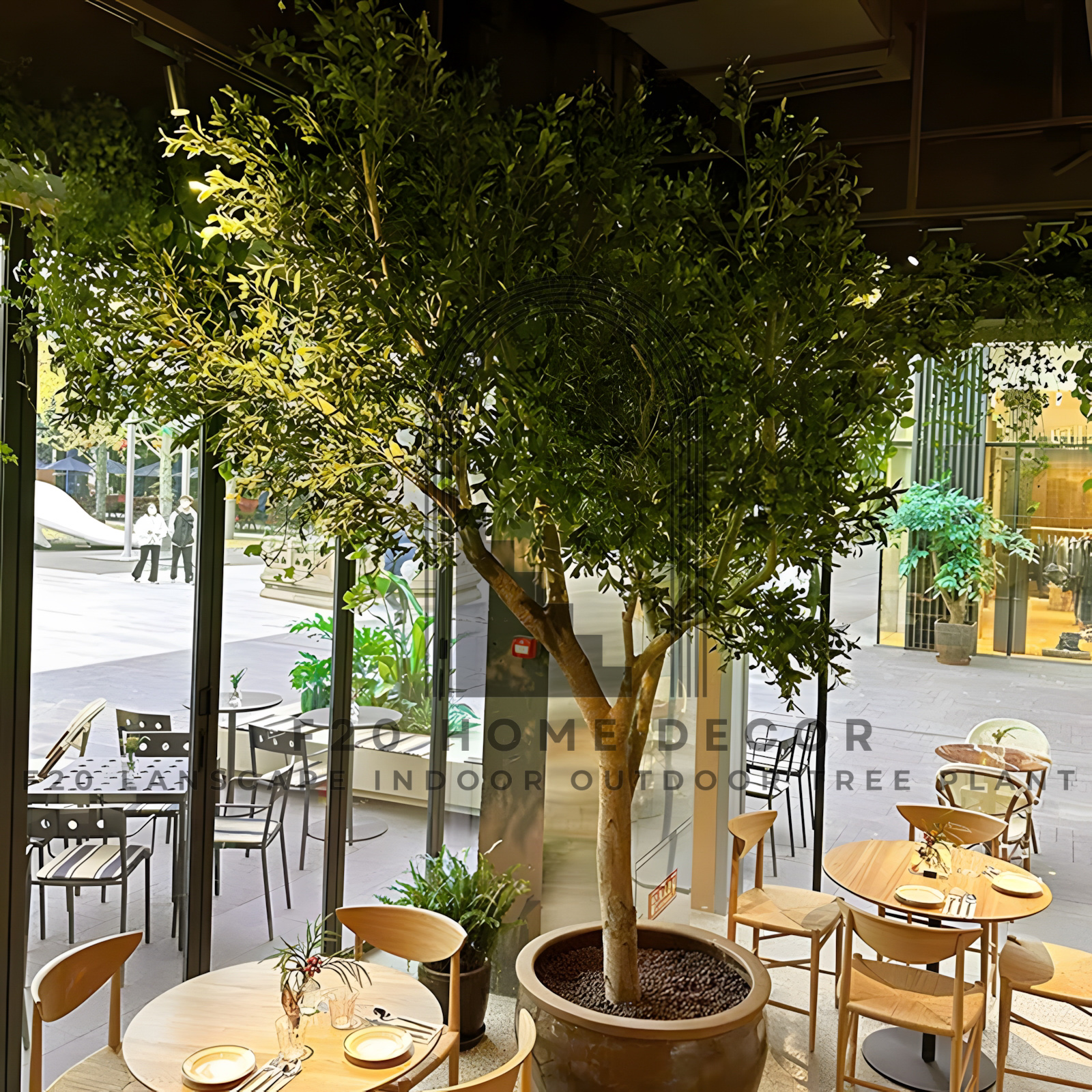 Cây ô liu giả được trồng trong lu trang trí quán cafe theo phong cách địa trung hải