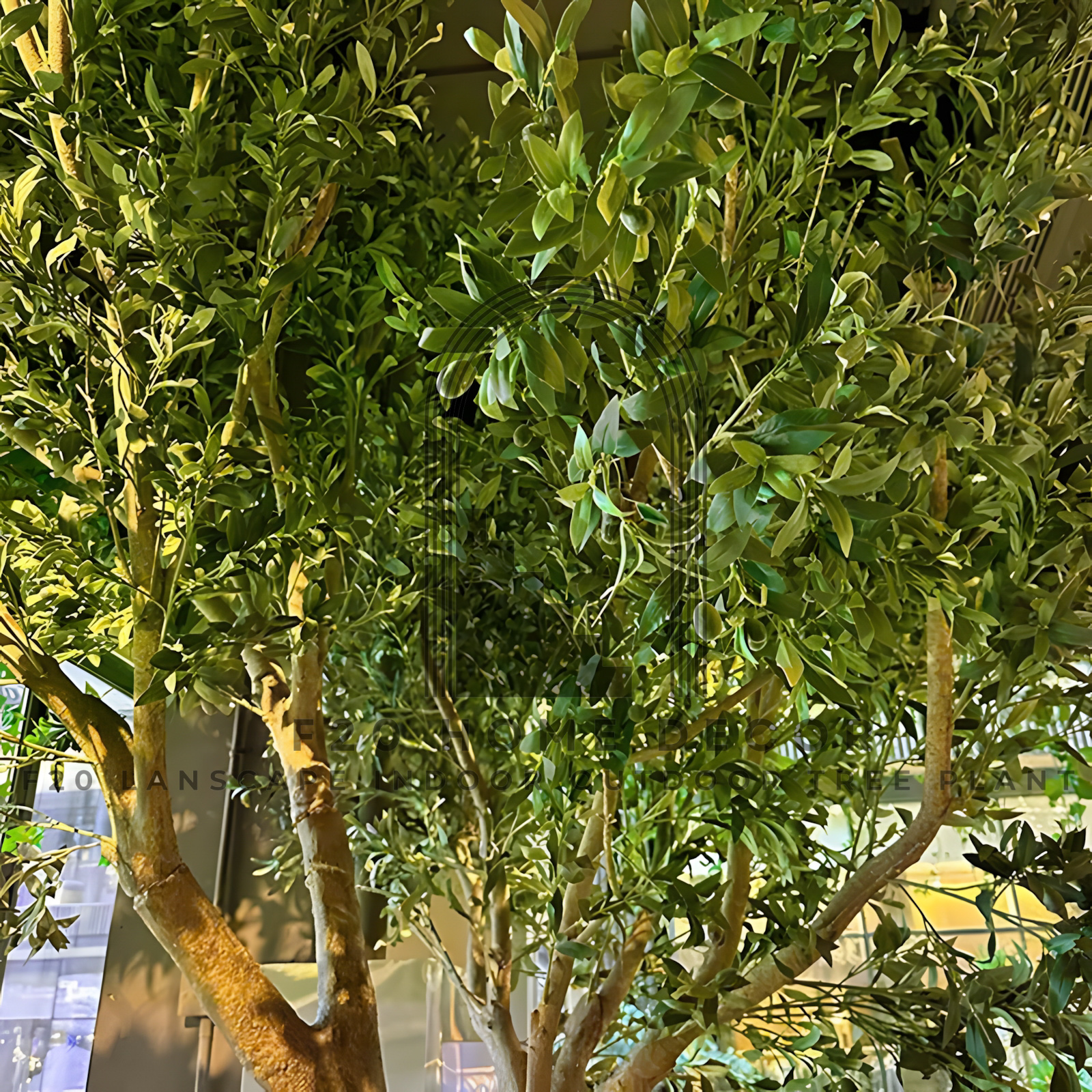 Chi tiết thân và cành lá cây ô liu giả