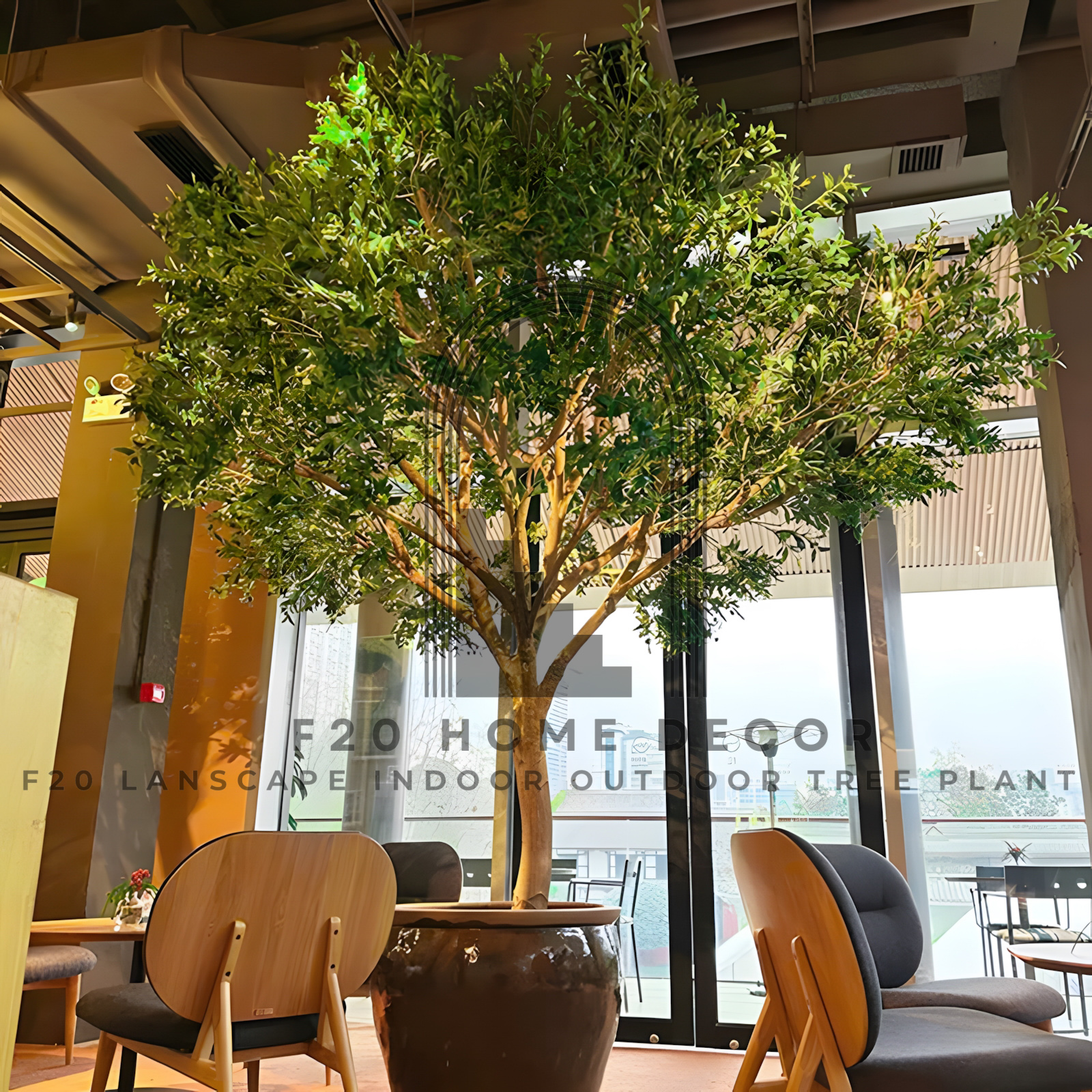 Cây ô liu giả cao cấp trang trí quán cafe