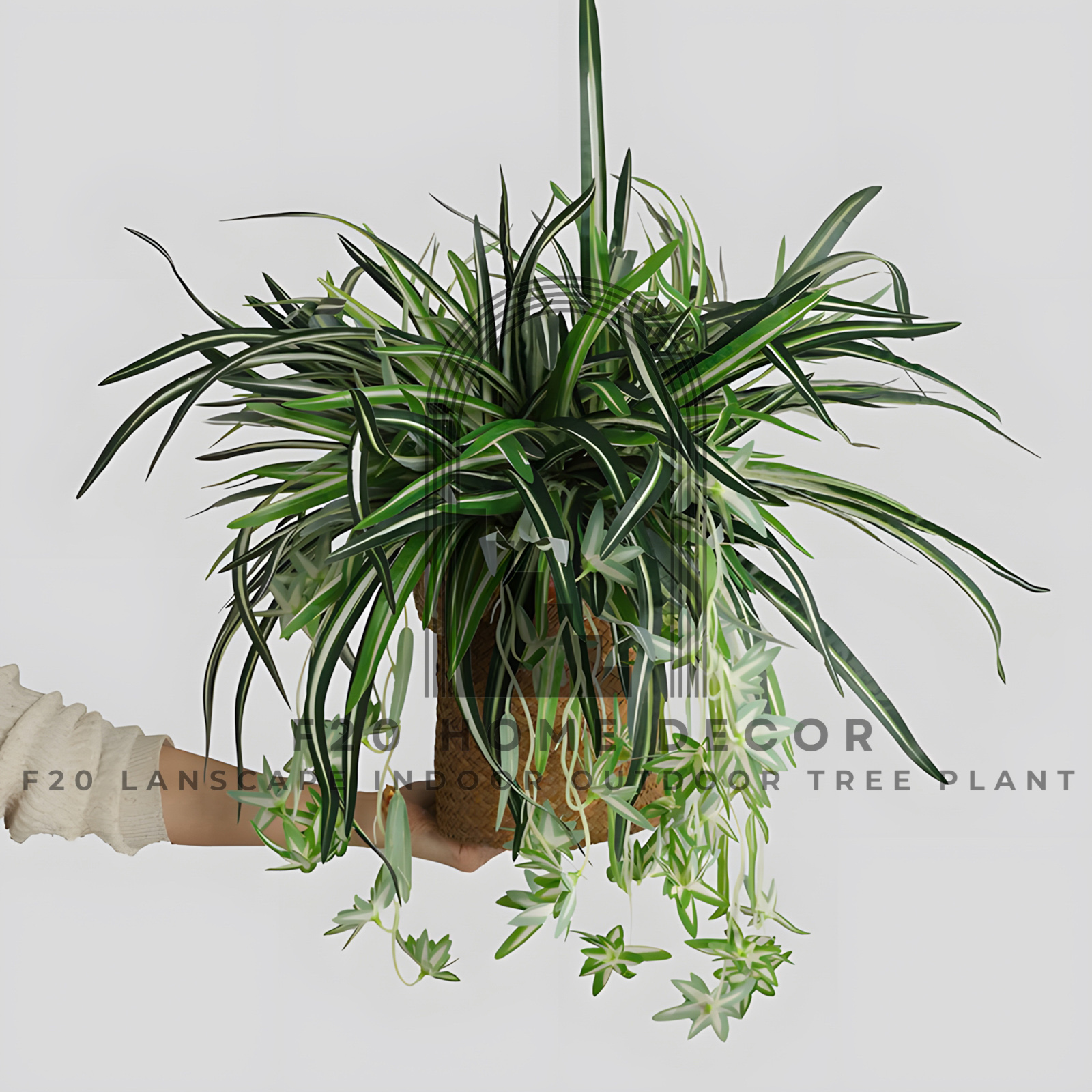 Cành cây cỏ lan chi giả rủ treo tường 60cm