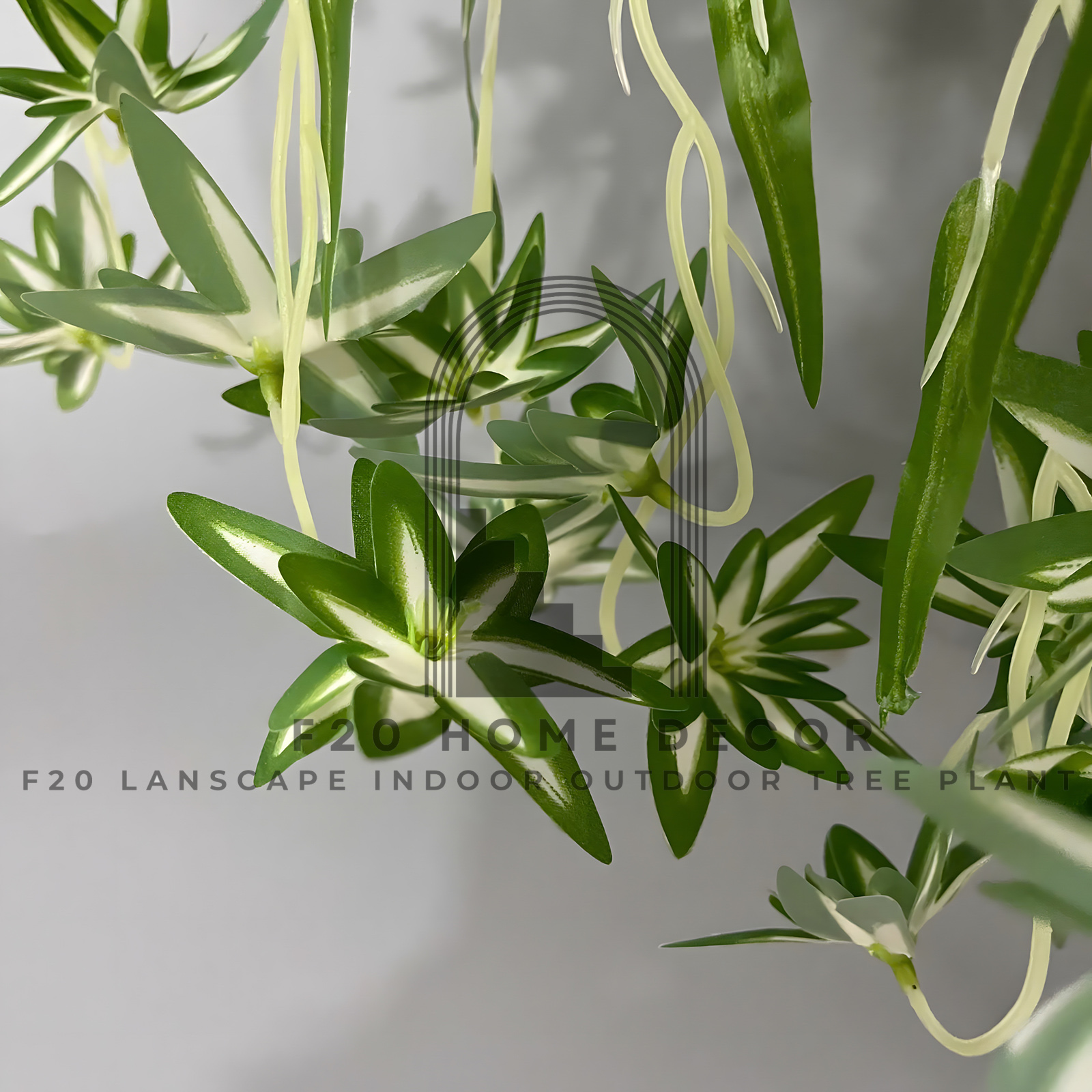 Hình ảnh cành cỏ lan chi cận cực sắc nét tô điểm cho mọi không gian