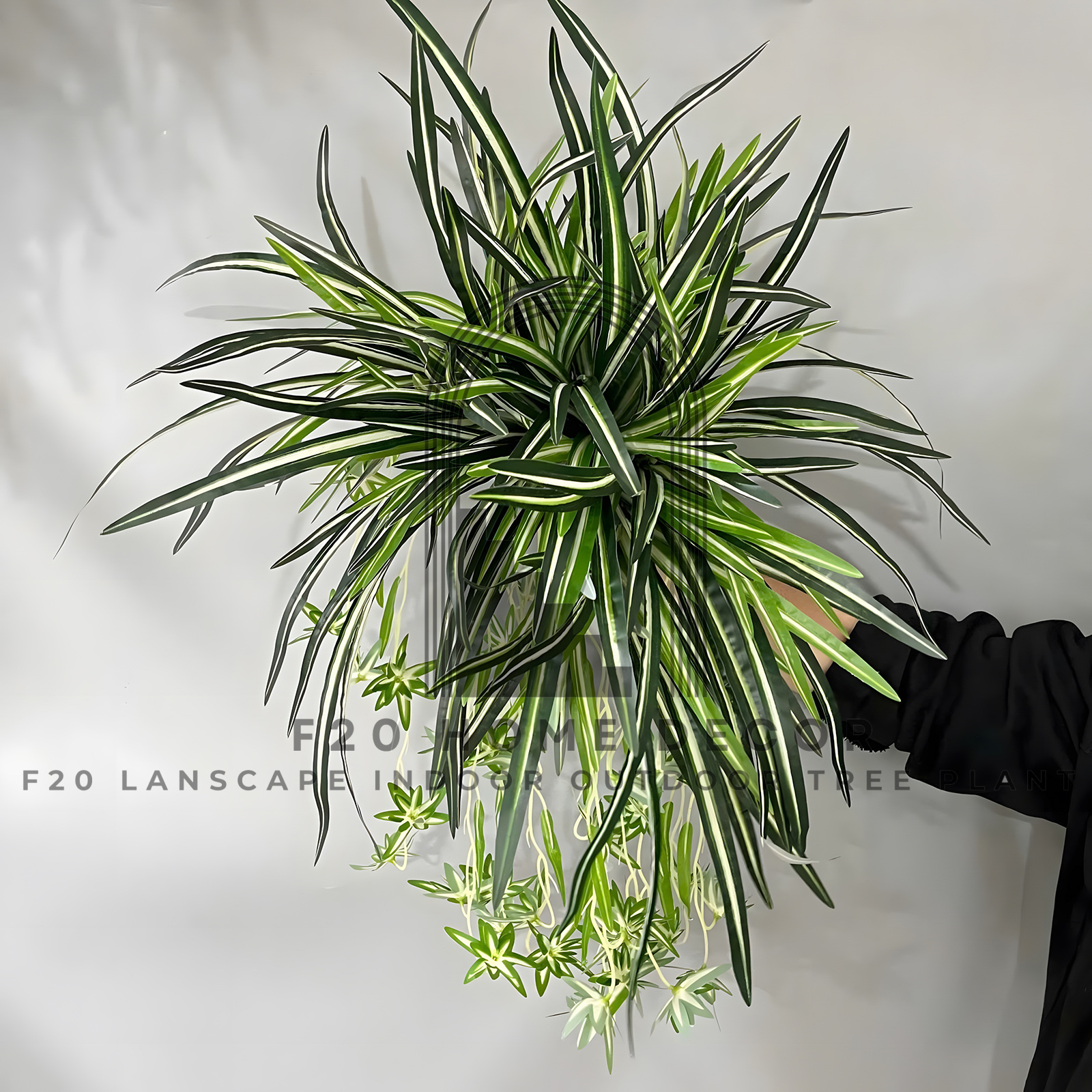 Chi tiết hình ảnh cành cây cỏ lan chi treo tường