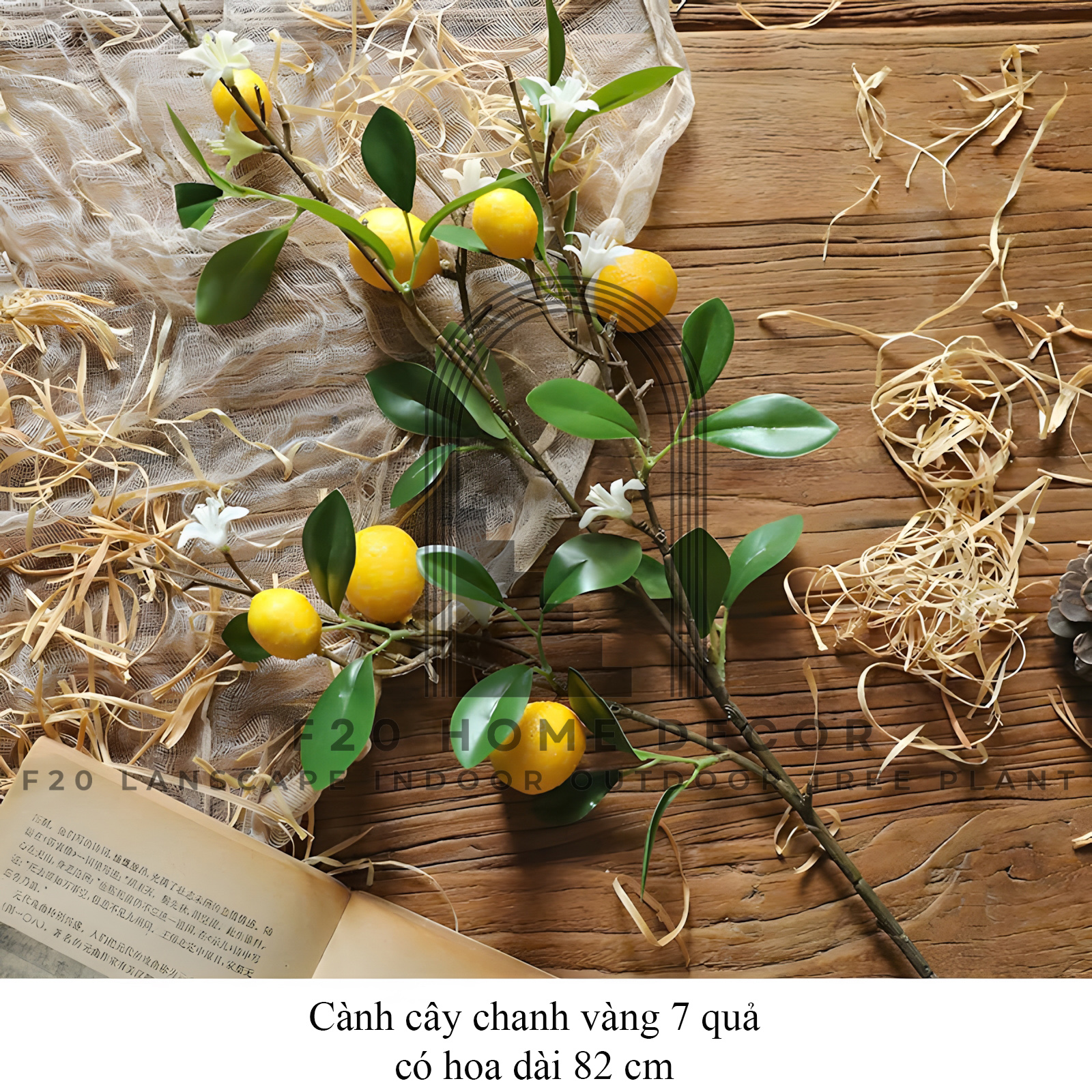 Hình ảnh cành cây canh vàng 7quả với kích thước 82cm