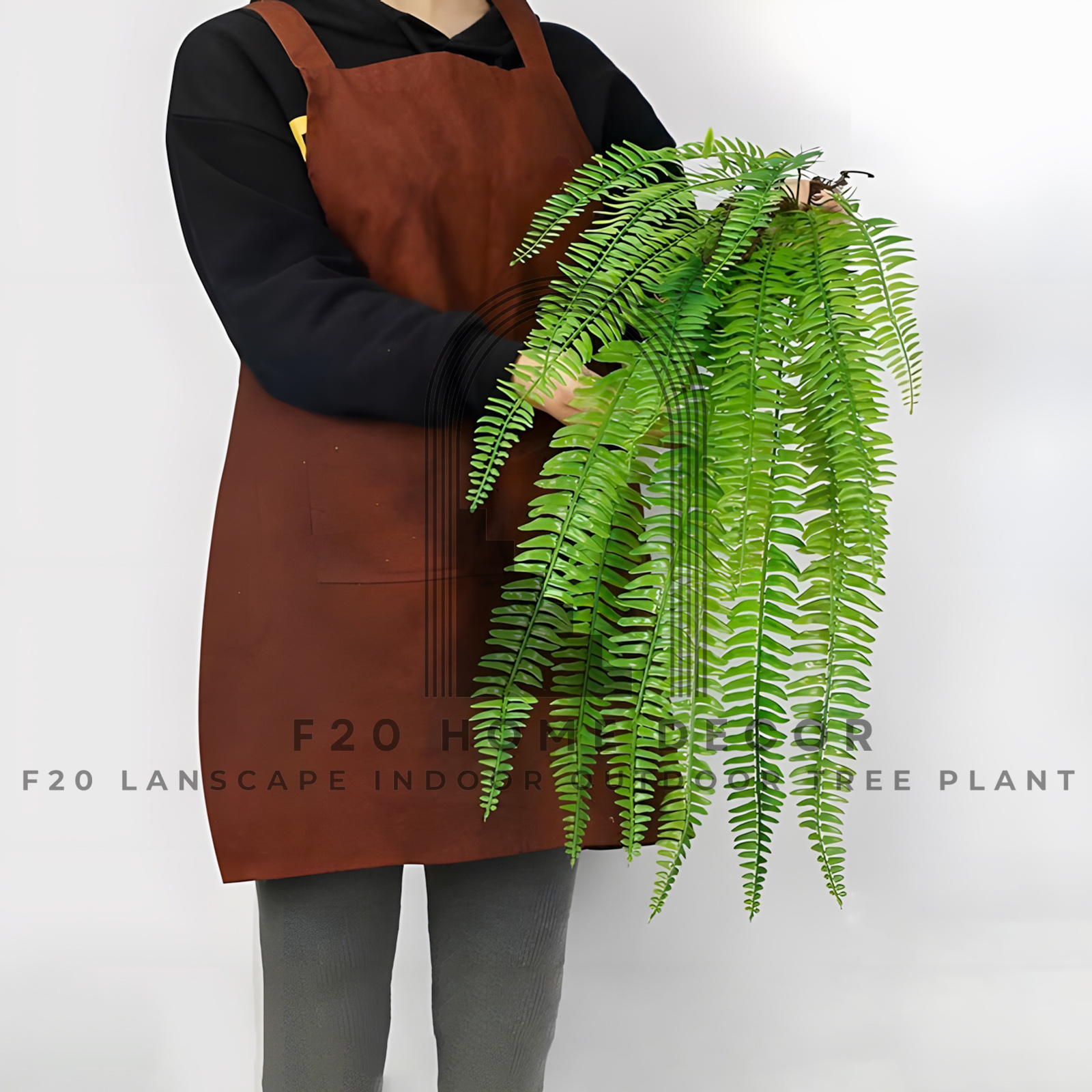 Cành dương xỉ giả rủ treo tường