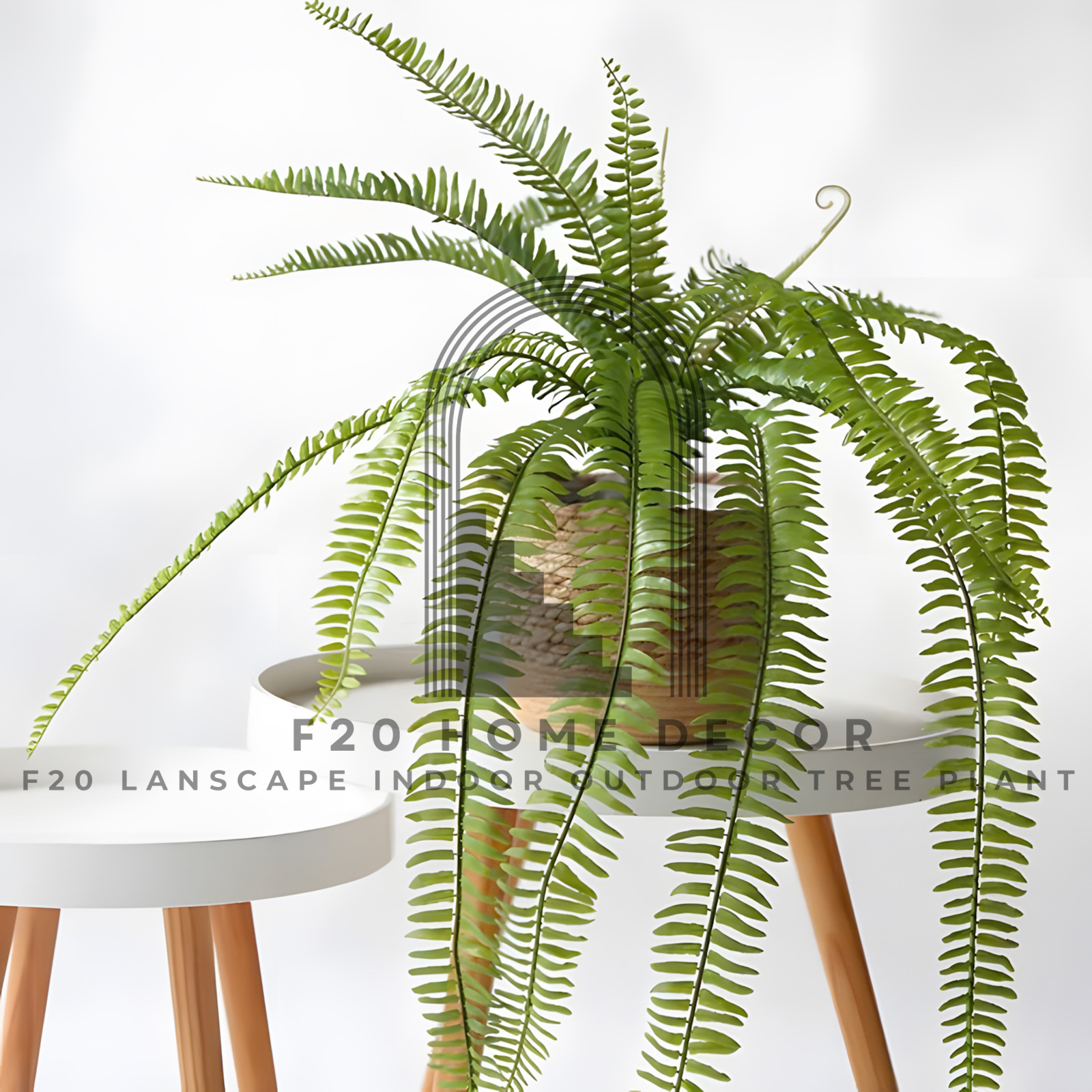 Cành dương xỉ giả rủ treo tường đẹp tao nhã