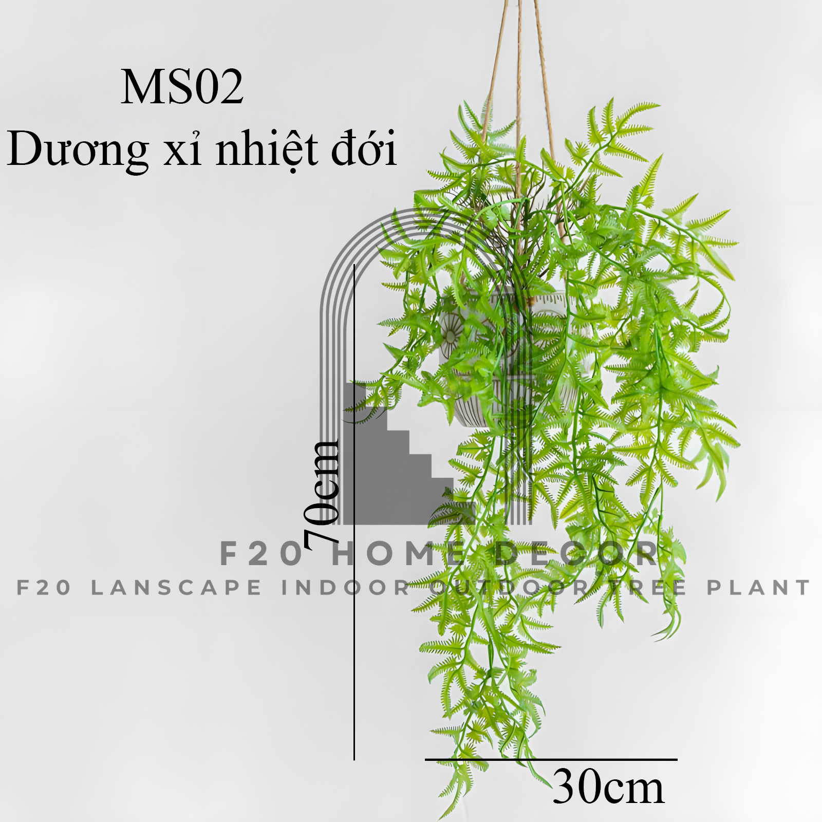 MS02 - Dương xỉ nhiệt đới