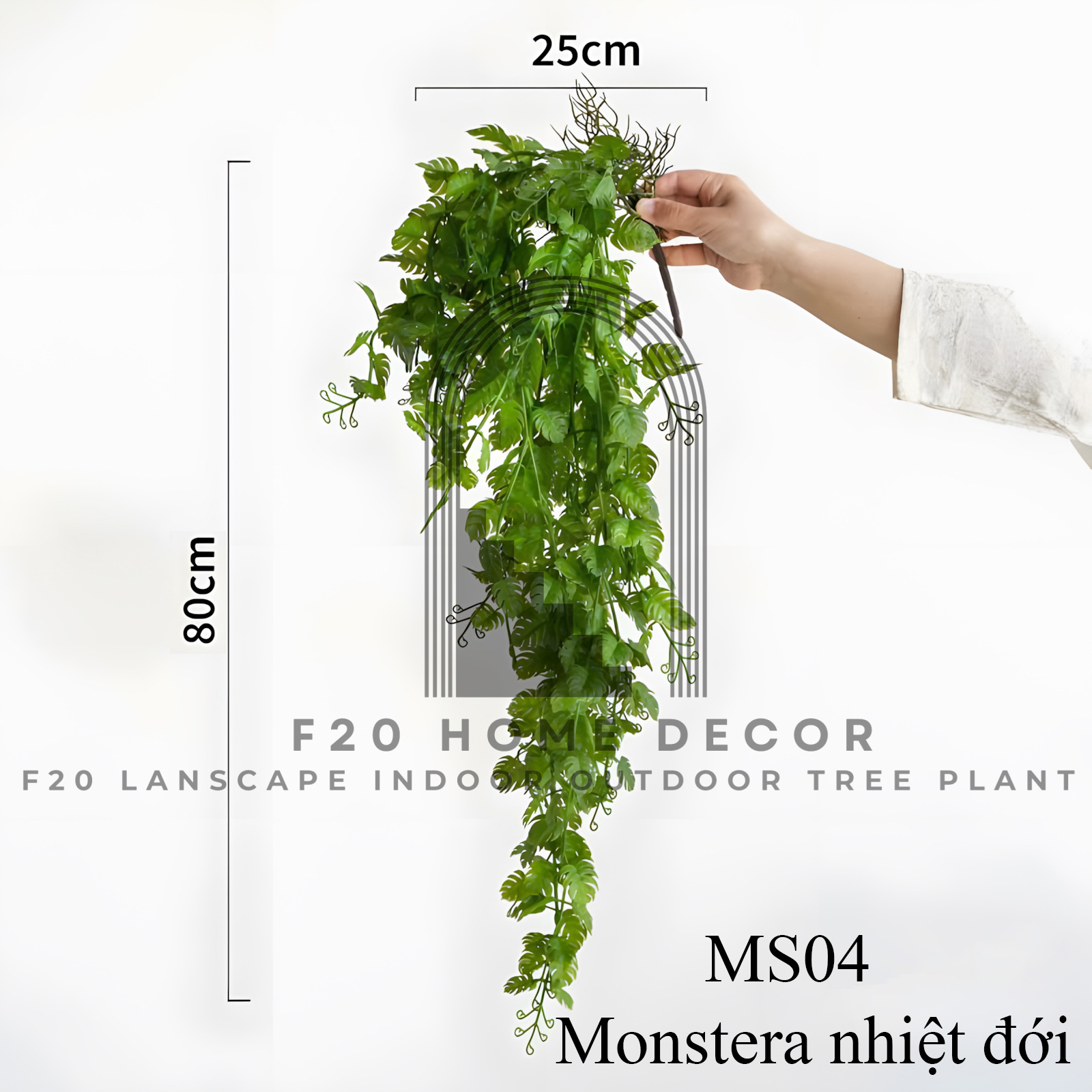 MS04 - Monstera nhiệt đới