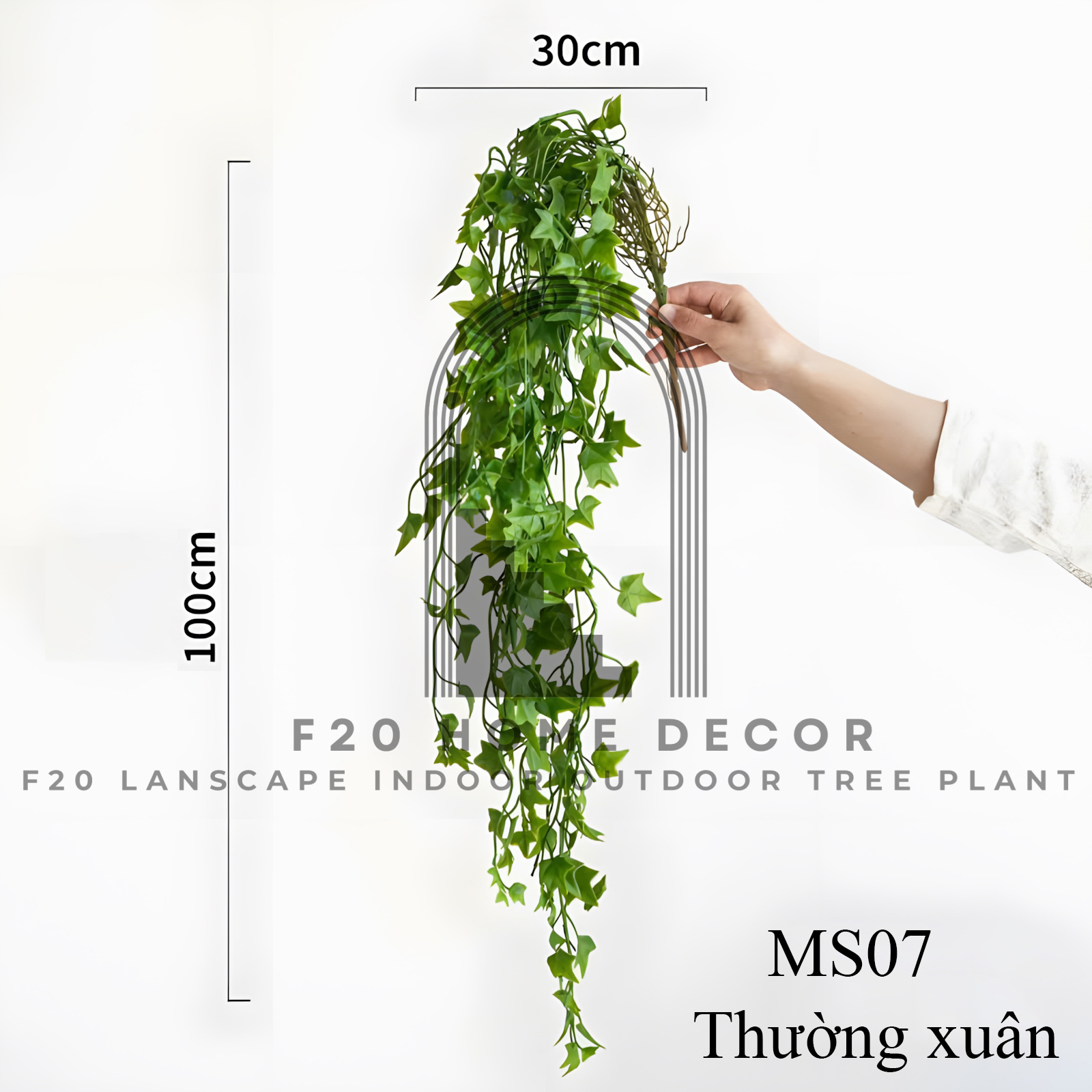 MS07 - Thường xuân