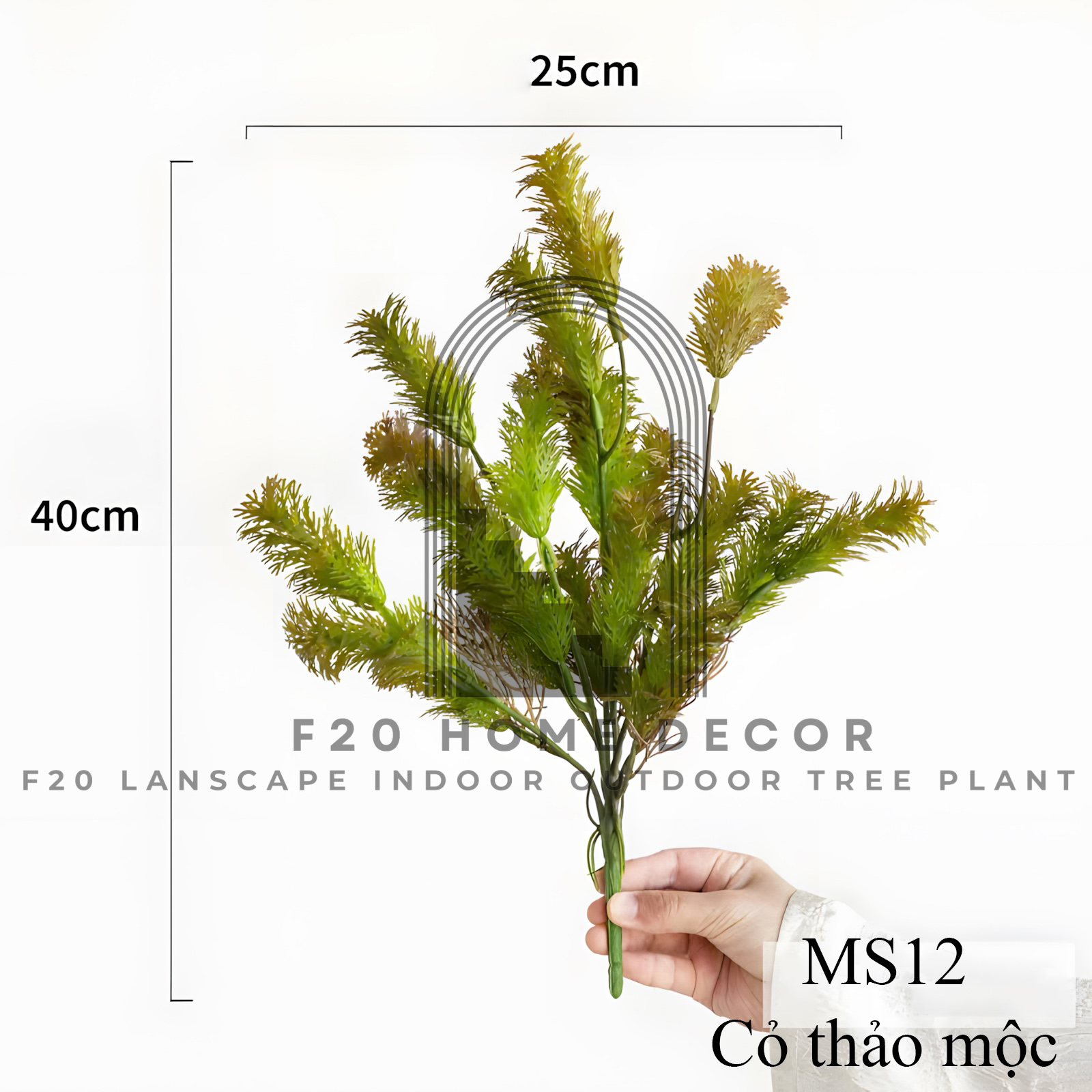 MS12 - Cỏ thảo mộc