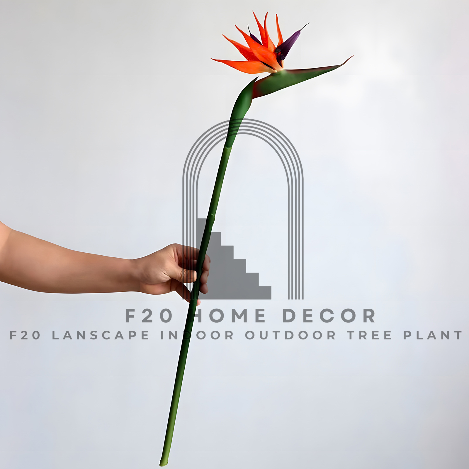 Chi tiết hình ảnh thân và hoa thiên điểu