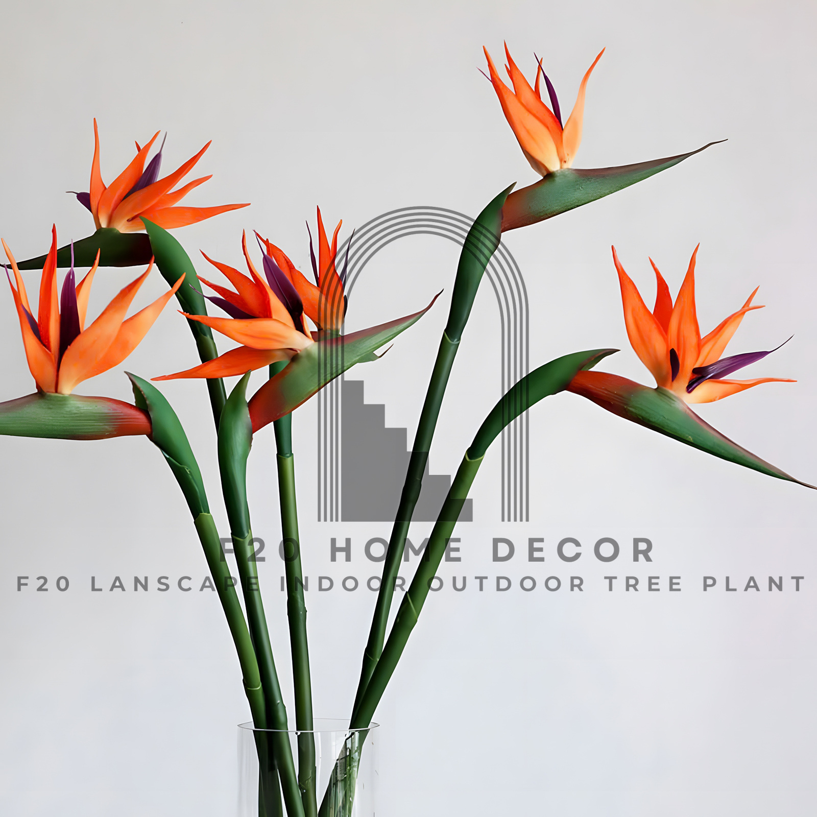 Hoa thiên điểu trang trí không gian thêm sinh động