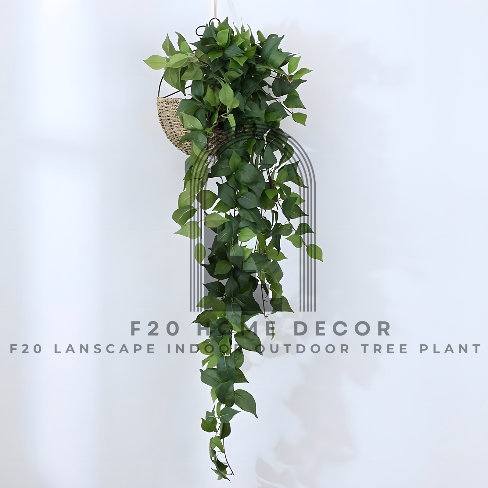 MS03 - Bạch đàn - Màu xanh tươi mát cây rủ treo tường trang trí bức tường nhà bạn