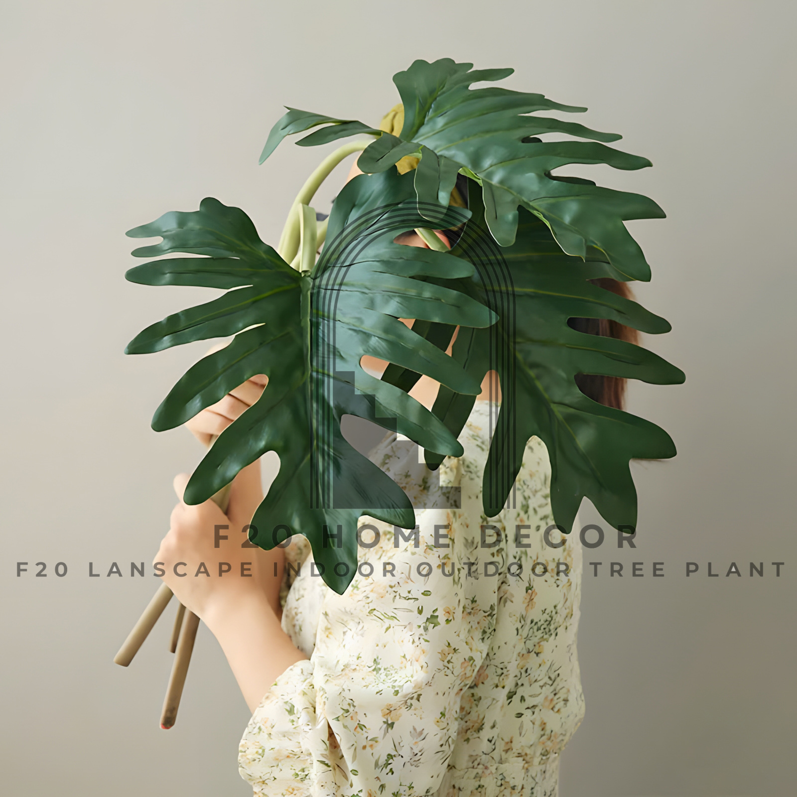 Chi tiết lá cây trầu bà thanh xuân