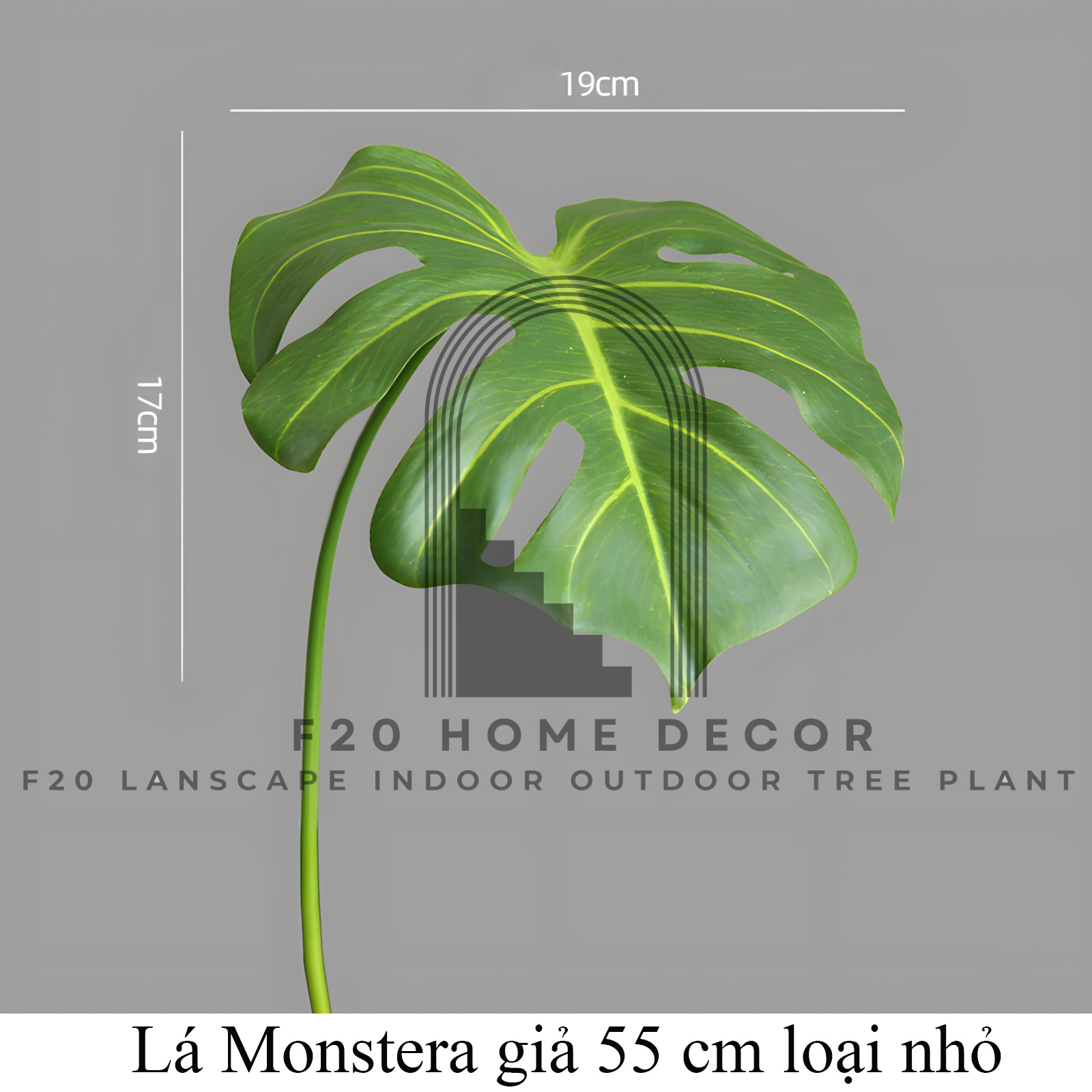 Hình ảnh chi tiết l lá Montera trầu bà giả nhỏ 55cm