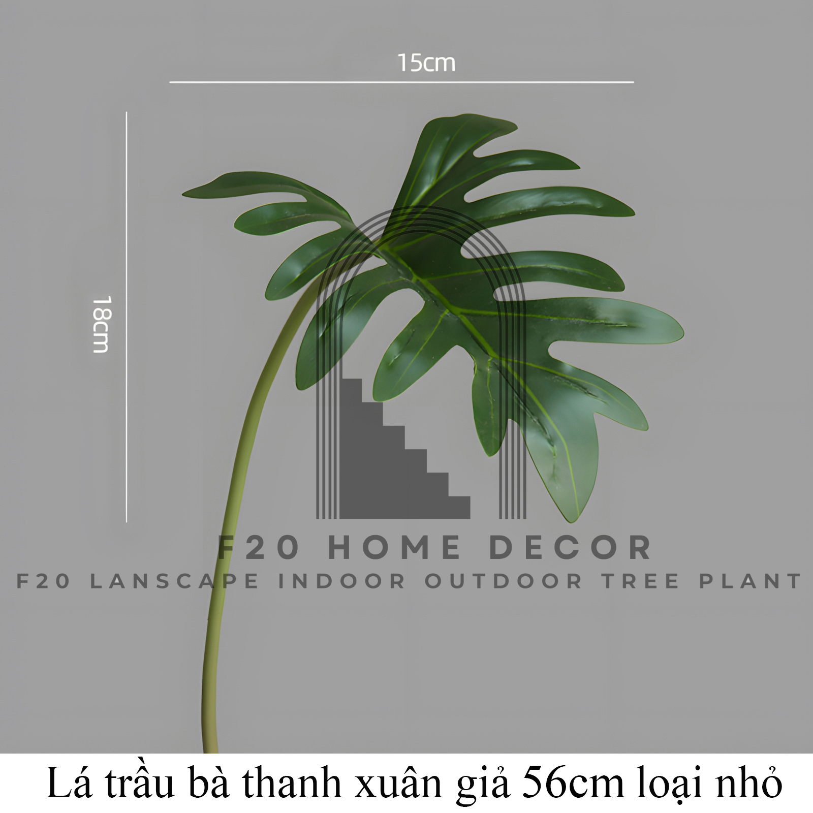 Lá trầu bà thanh xuân giả 56cm loại nhỏ trang trí