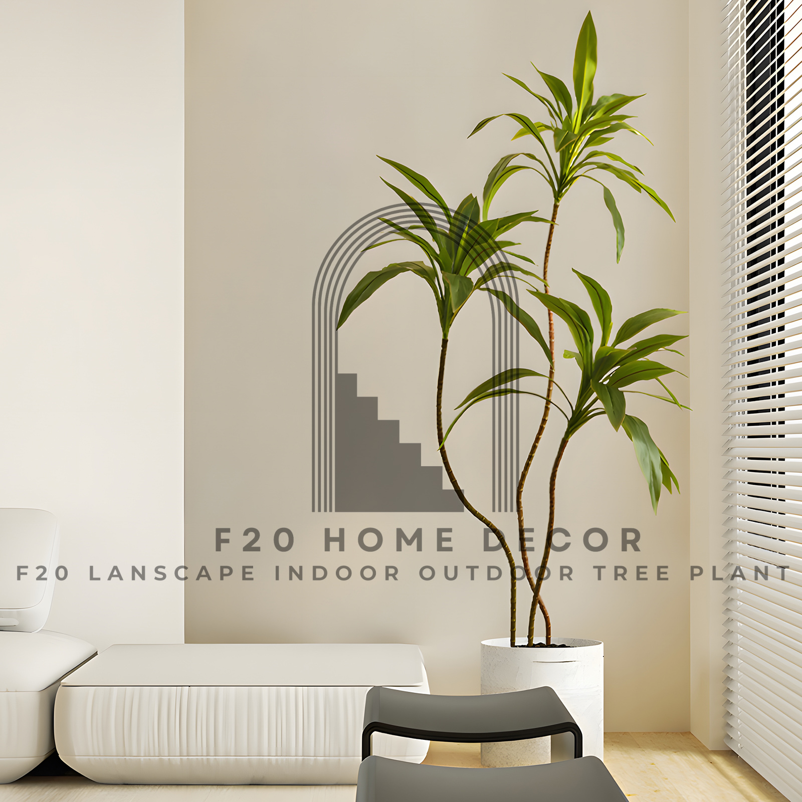 Cây huyết dụ lá nhỏ cao 140cm với 3 thân, tán lá xanh mát decor trang trí phòng khách