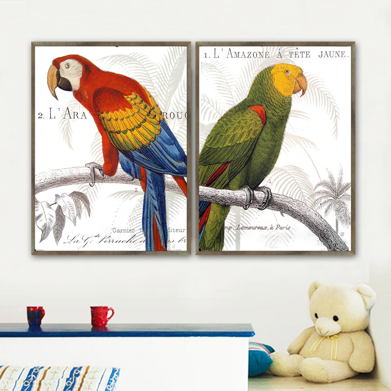 Tranh treo tường Chim Két