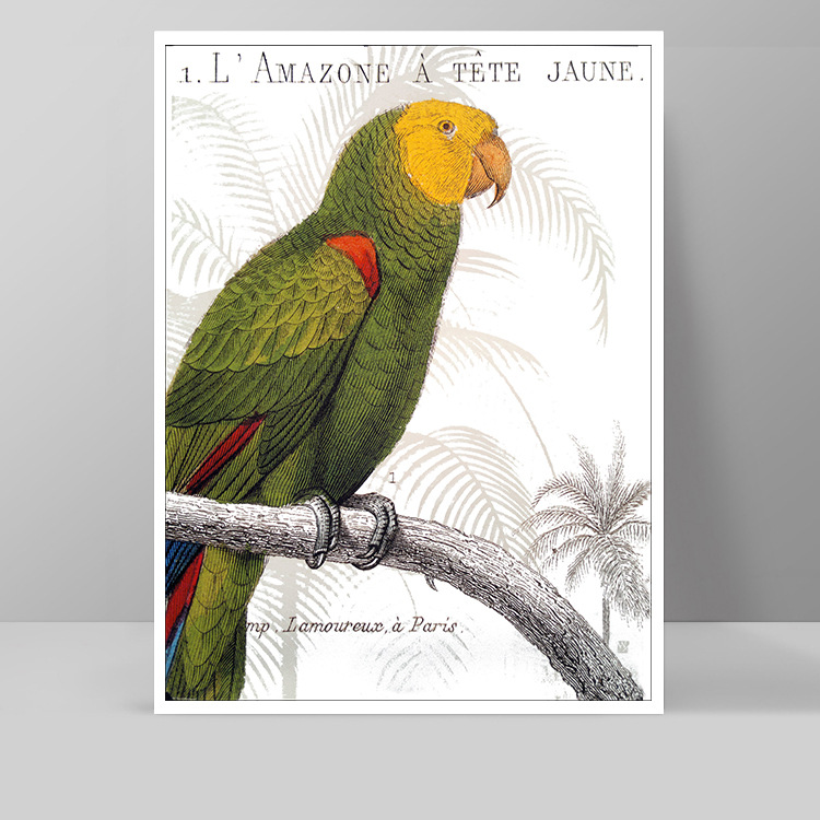 Tranh treo tường chim két xanh