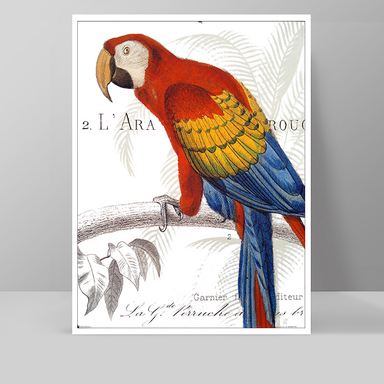 Tranh treo tường chim két đỏ