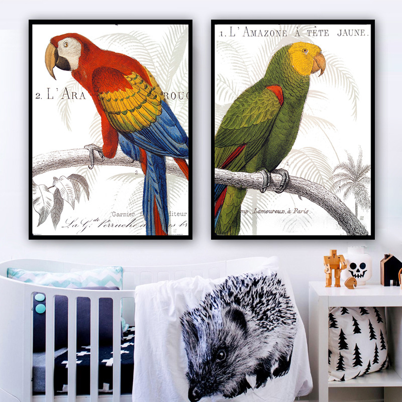 Tranh treo tường Chim Két