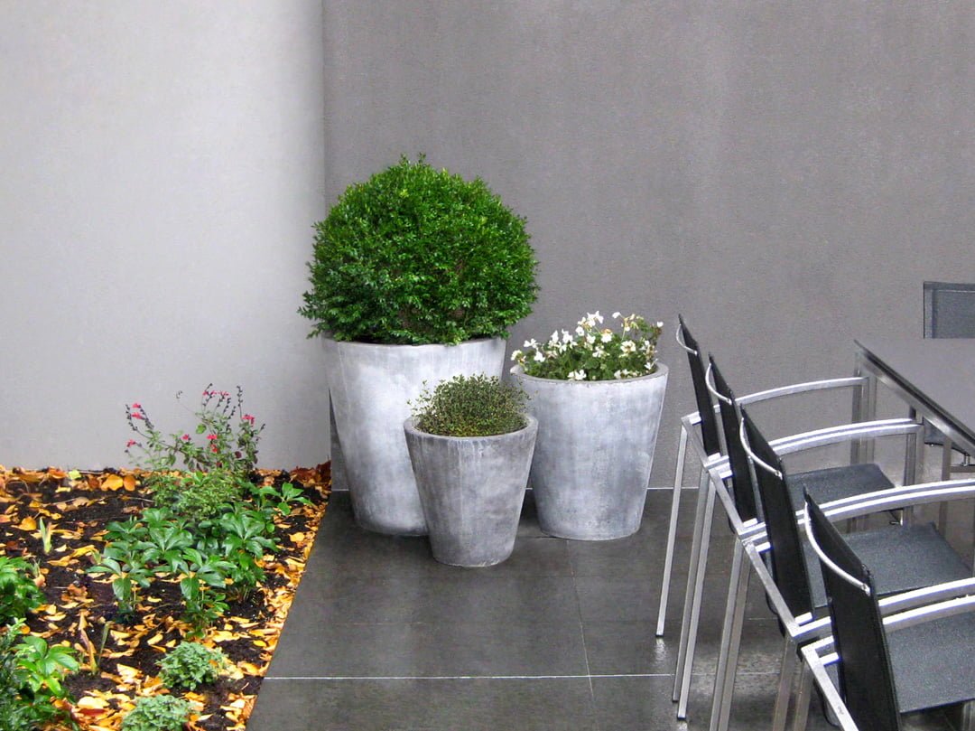 Chậu cây bằng bê tông