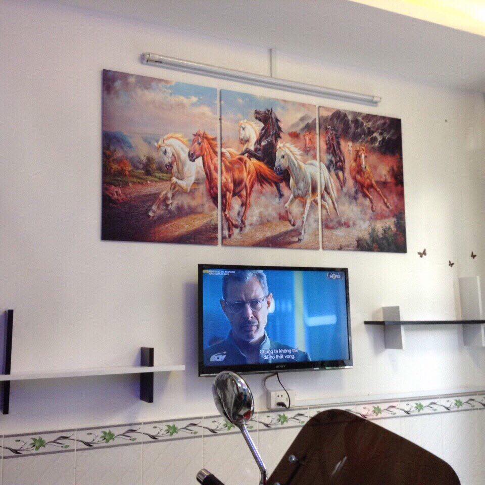 tranh-treo-tuong-ngua-phong-thuy