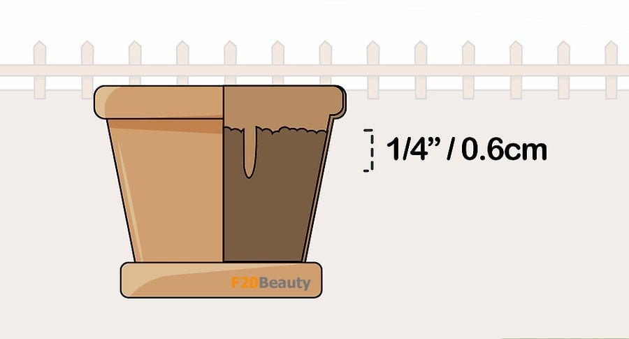 dao-1-cai-lo-thich-hop-de-trong-hoa